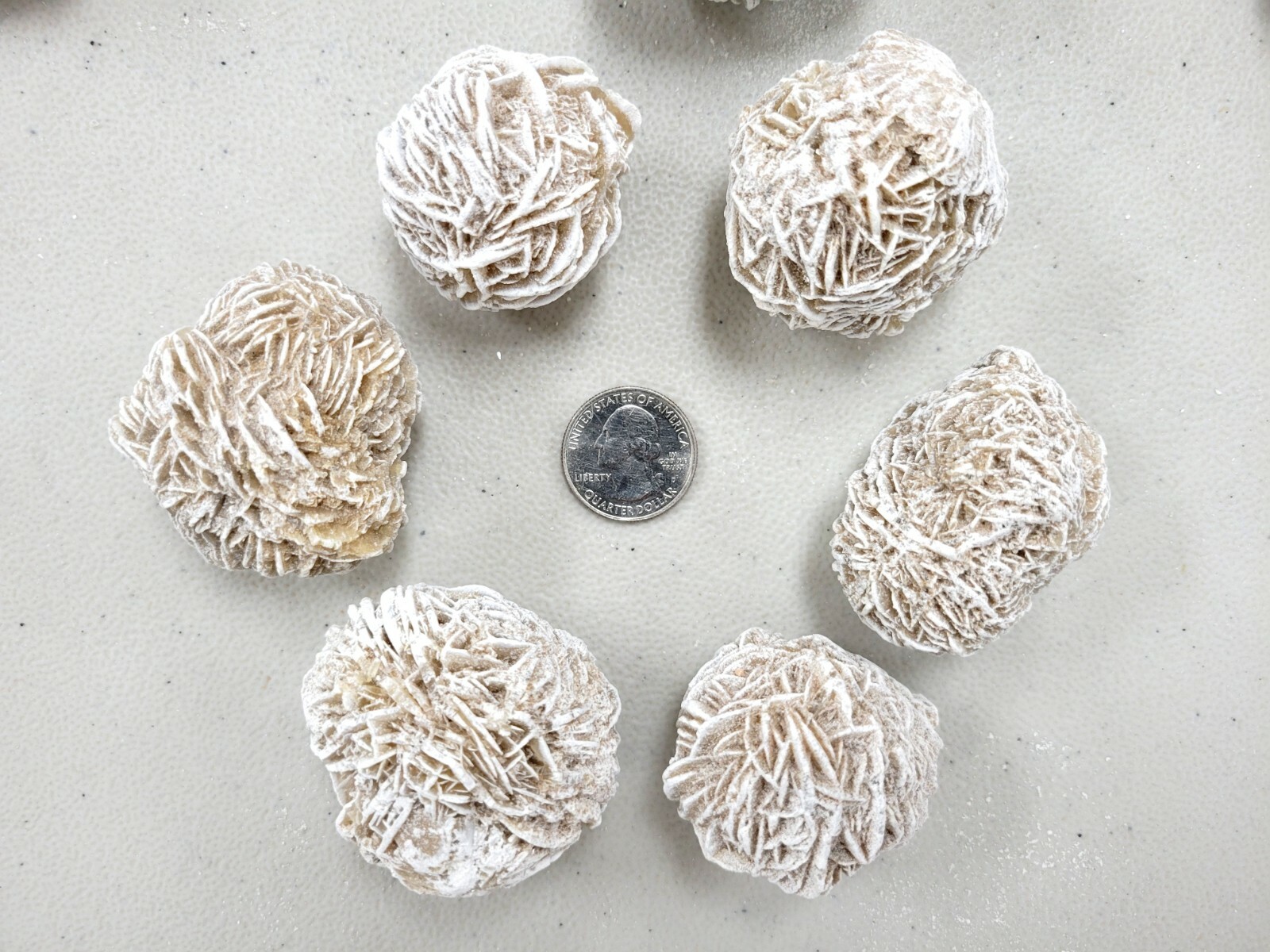 Large Desert Rose Crystal Specimens Raw Selenite Gypsum Sand Rose Cluster
