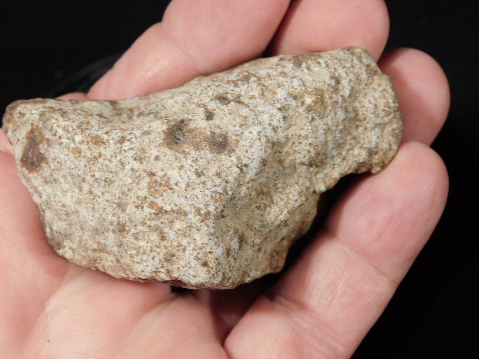 Classified NWA 8245 METEORITE 100% Natural Erfoud, Morocco 147gr