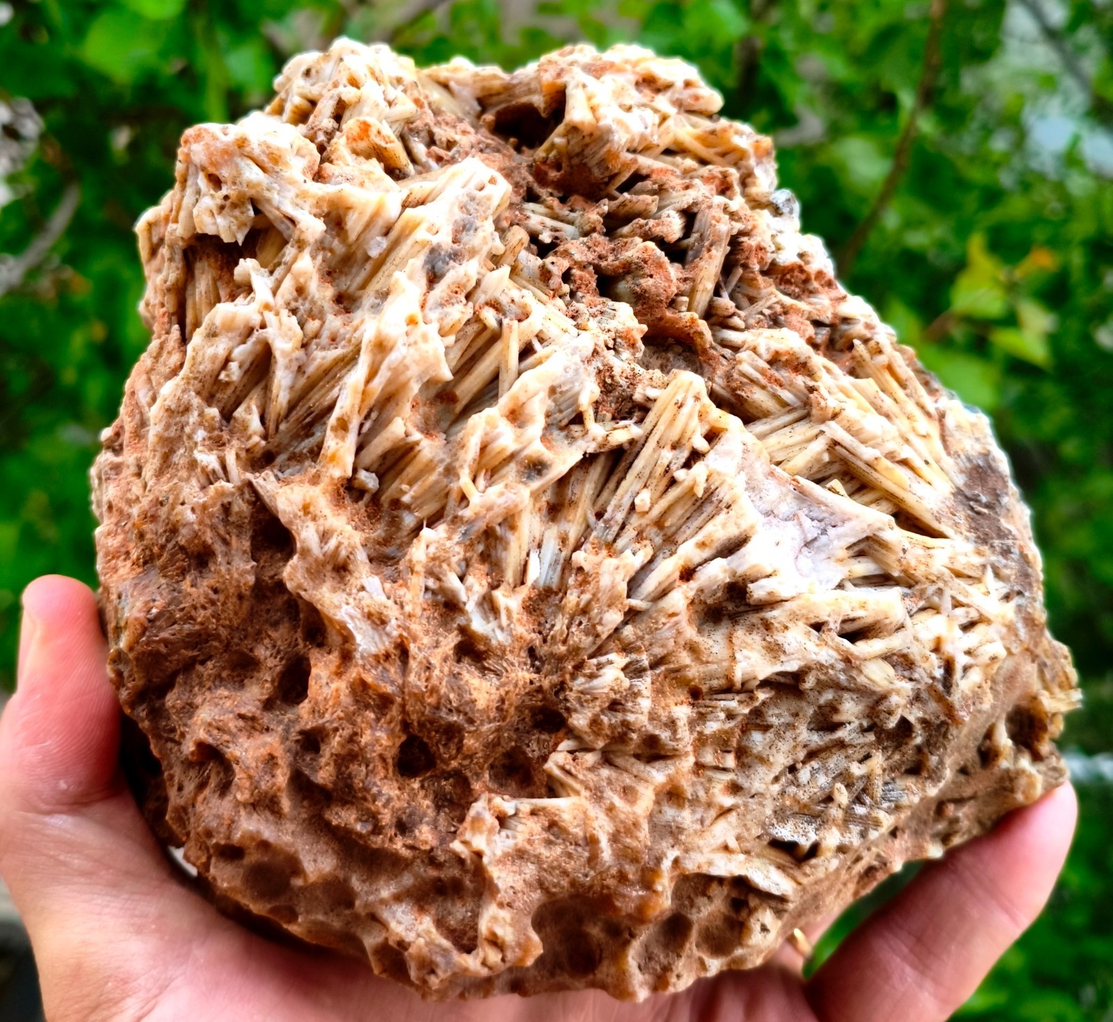 5 Lb 14.28 Oz Extremely Rare Raw Stick Rare Agate