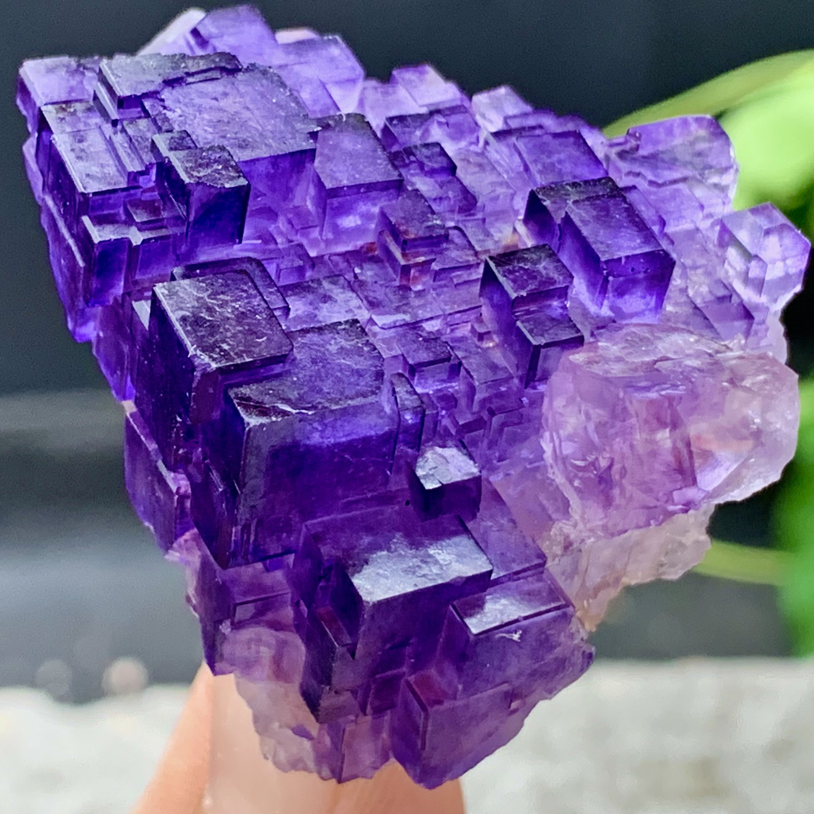 53G Natural purple fluorite Matrix array stepped fluoritemineral specimen/China