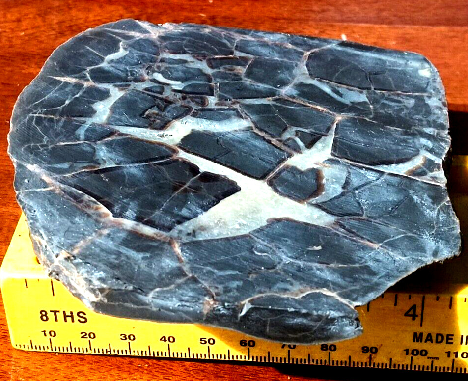 Septarian Nodule UV Reactive End Cut Display Crystal Specimen Glows Purple