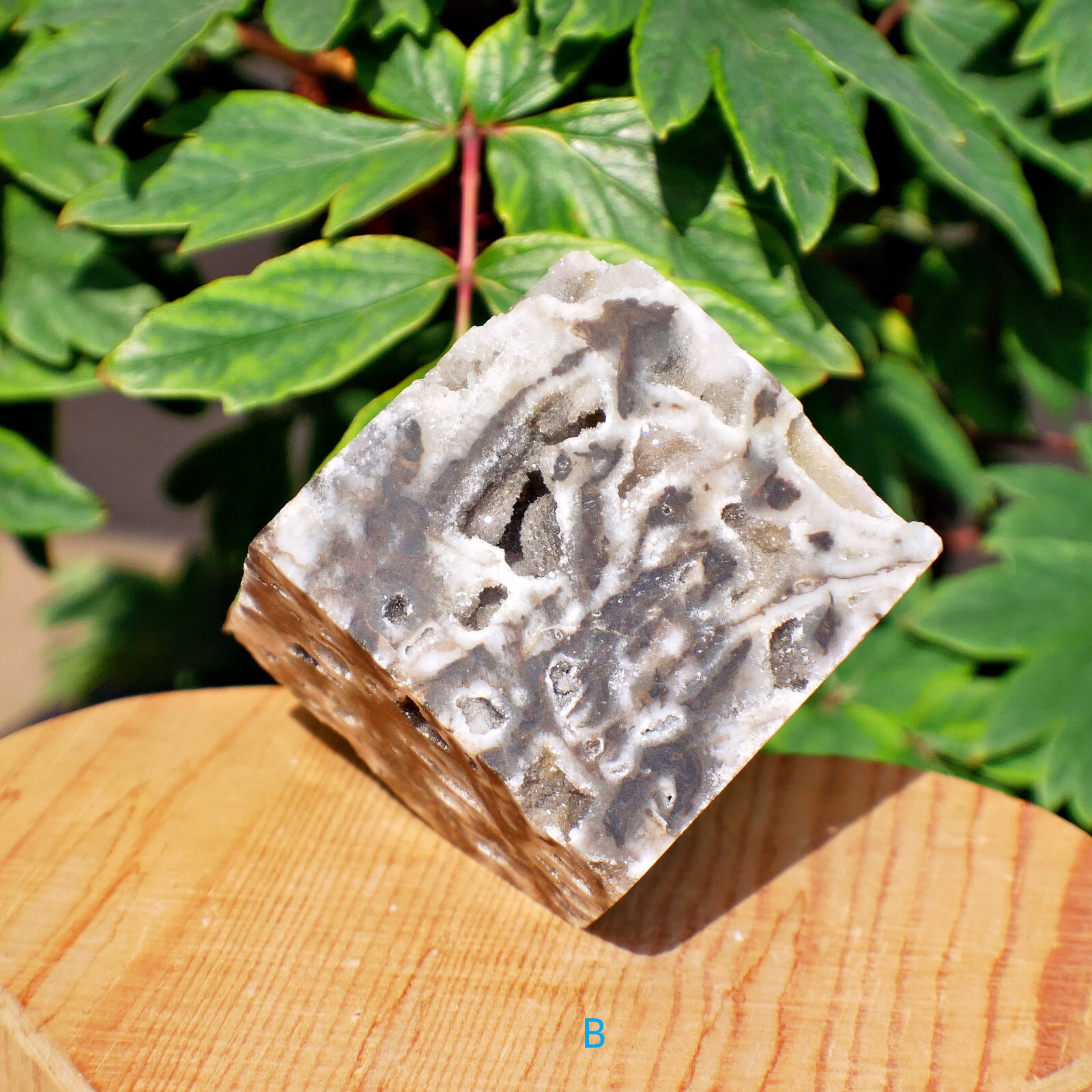 2″ Sphalerite Druzy Geode Cube Crystal Healing Gemstone Natural Mineral Specimen