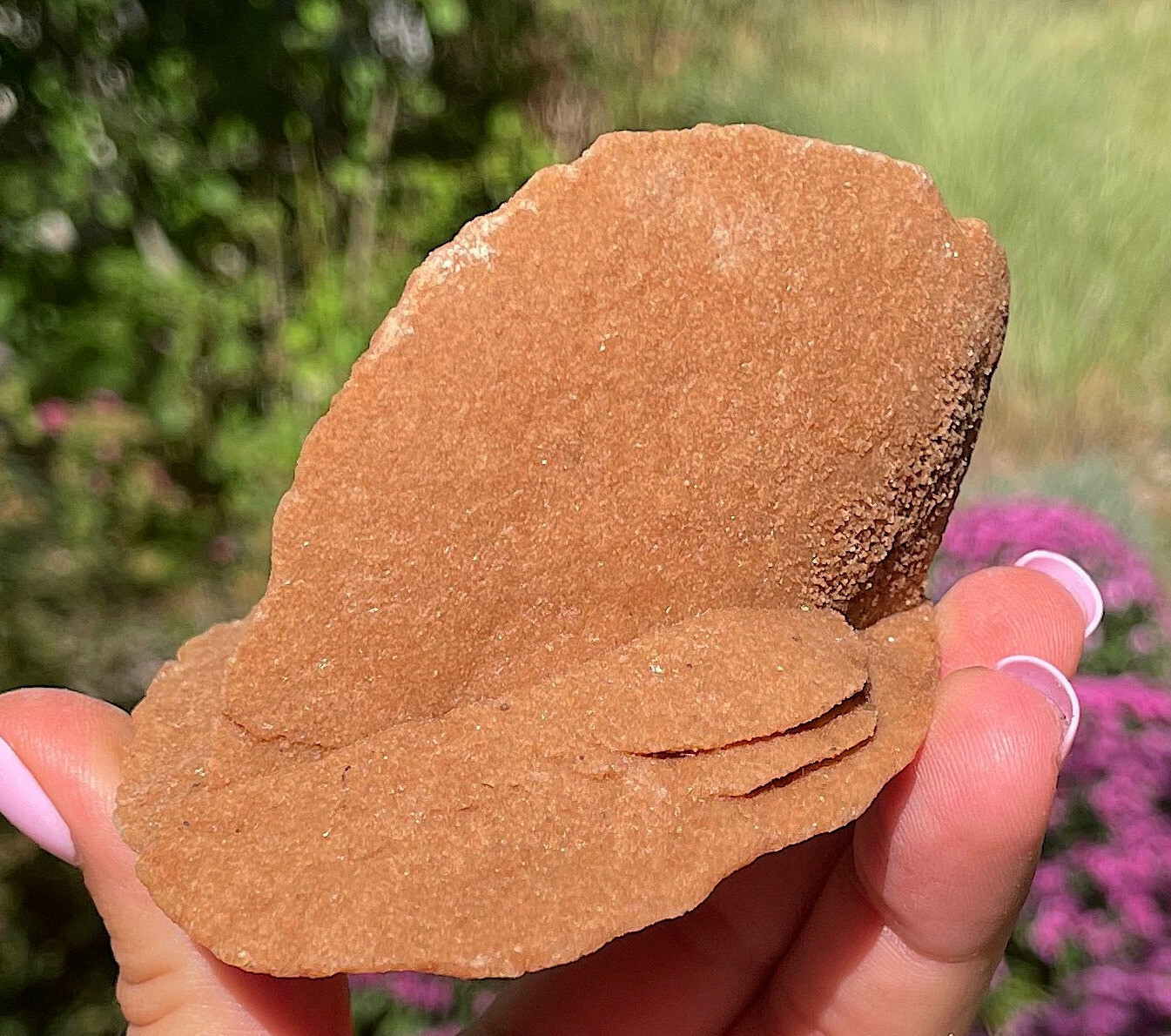 Selenite Or Gypsum Also Desert Rose Western Sahara Morocco Rare Large 9.0 Cm’s