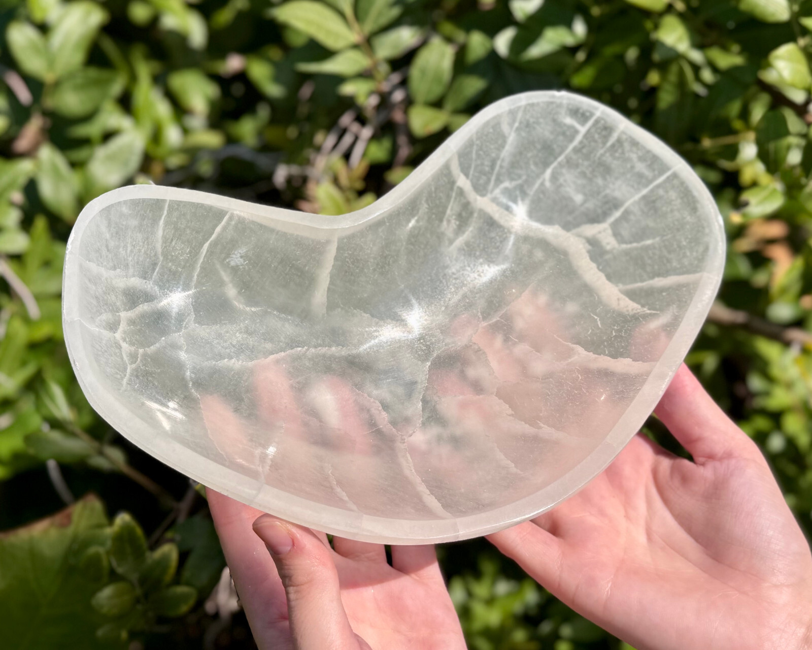 HUGE 10″ Selenite Free Form Charging Bowls (Selenite Crystal Bowl,Selenite Bowl)