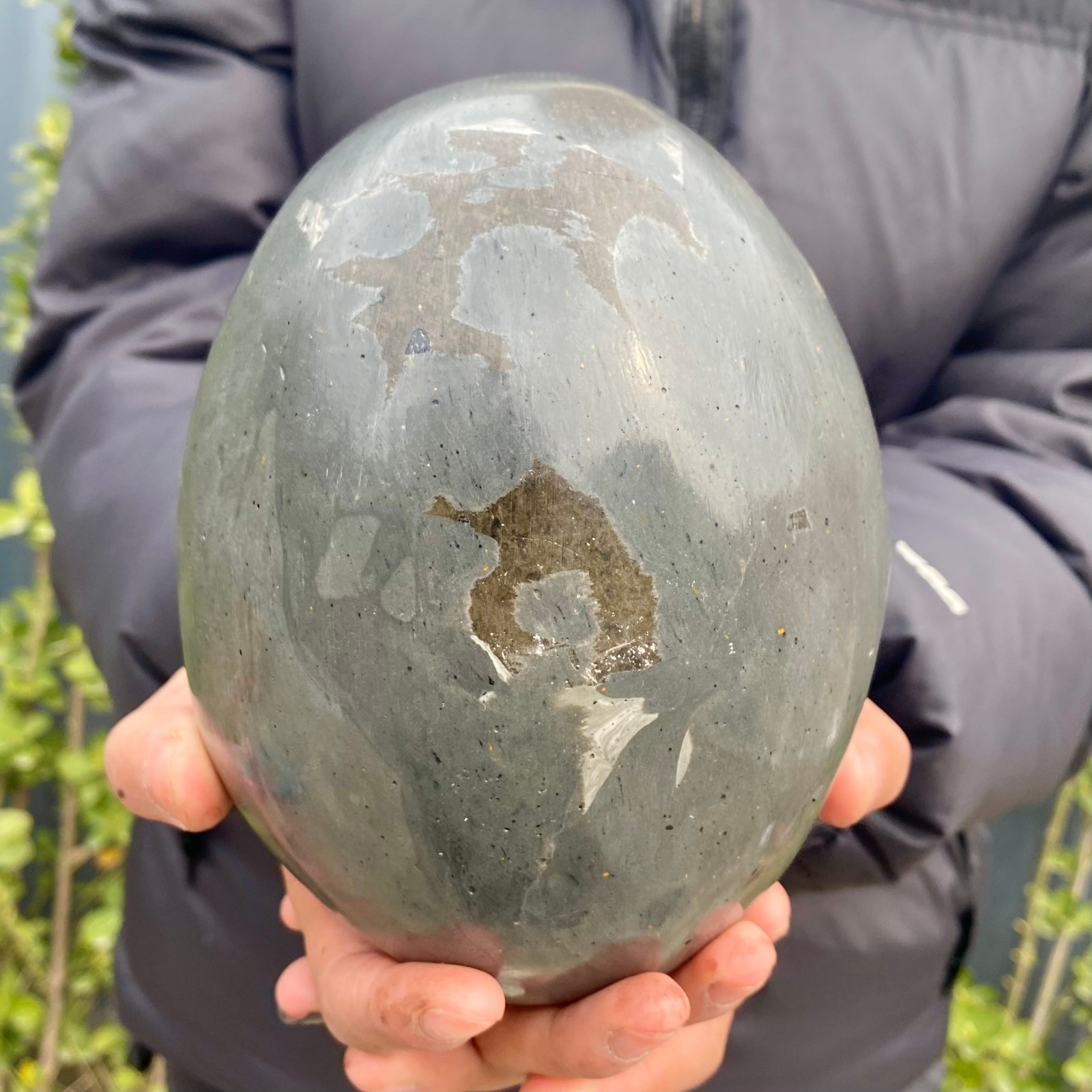 5LB Natural amethyst Dinosaur egg Quartz Crystal specimen healing