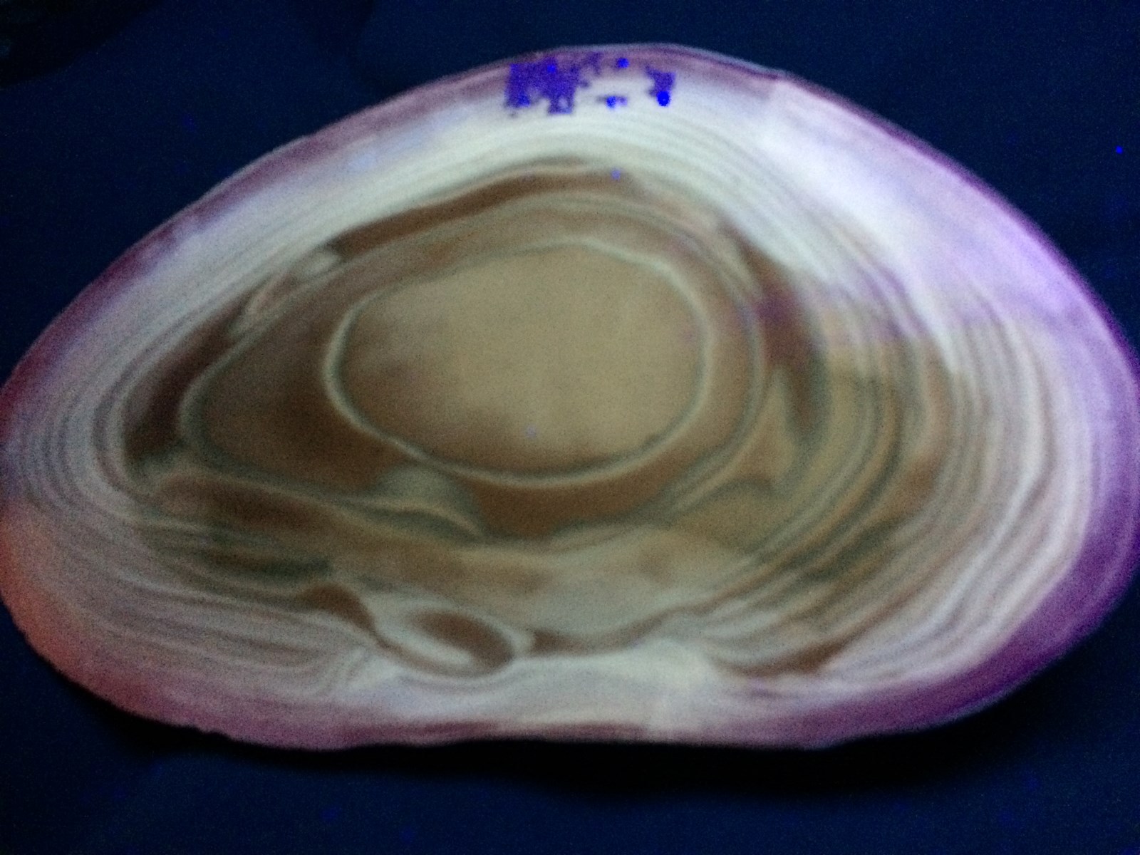 KB: RARE AND UNIQUE FANTASTIC SW FL. BRIGHT YELLOW/WHITE STRIPED FLINT, POLAND