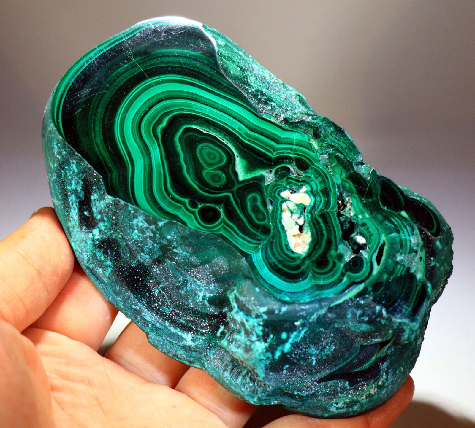 1 lb 12 oz 5.25″ Top Quality Polished Bull’s Eye Malachite Slice, Congo! M716