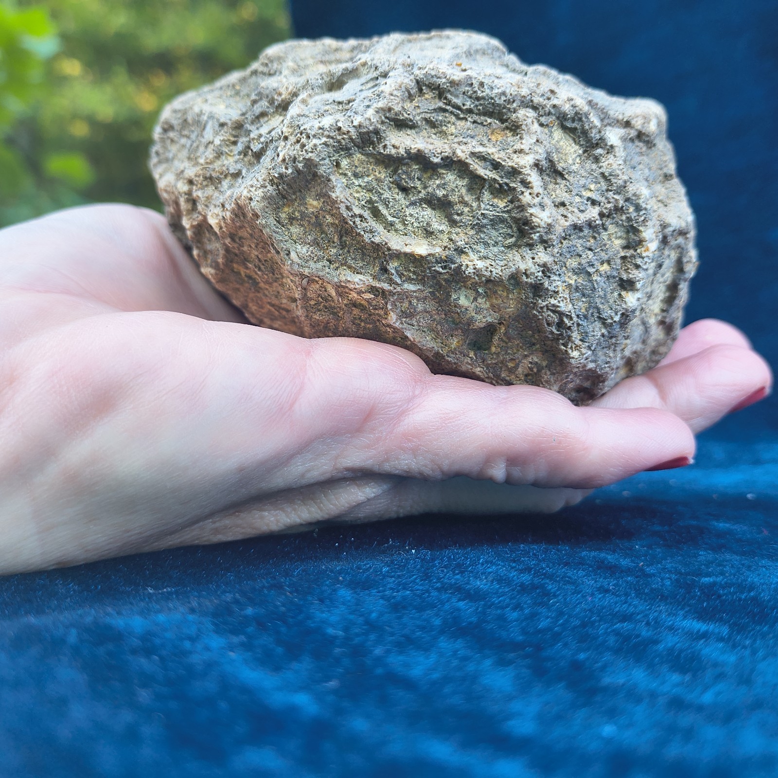 Large Kentucky Geode 3–5 inch – Crack Open Giant Quartz Crystal Rock – Authentic