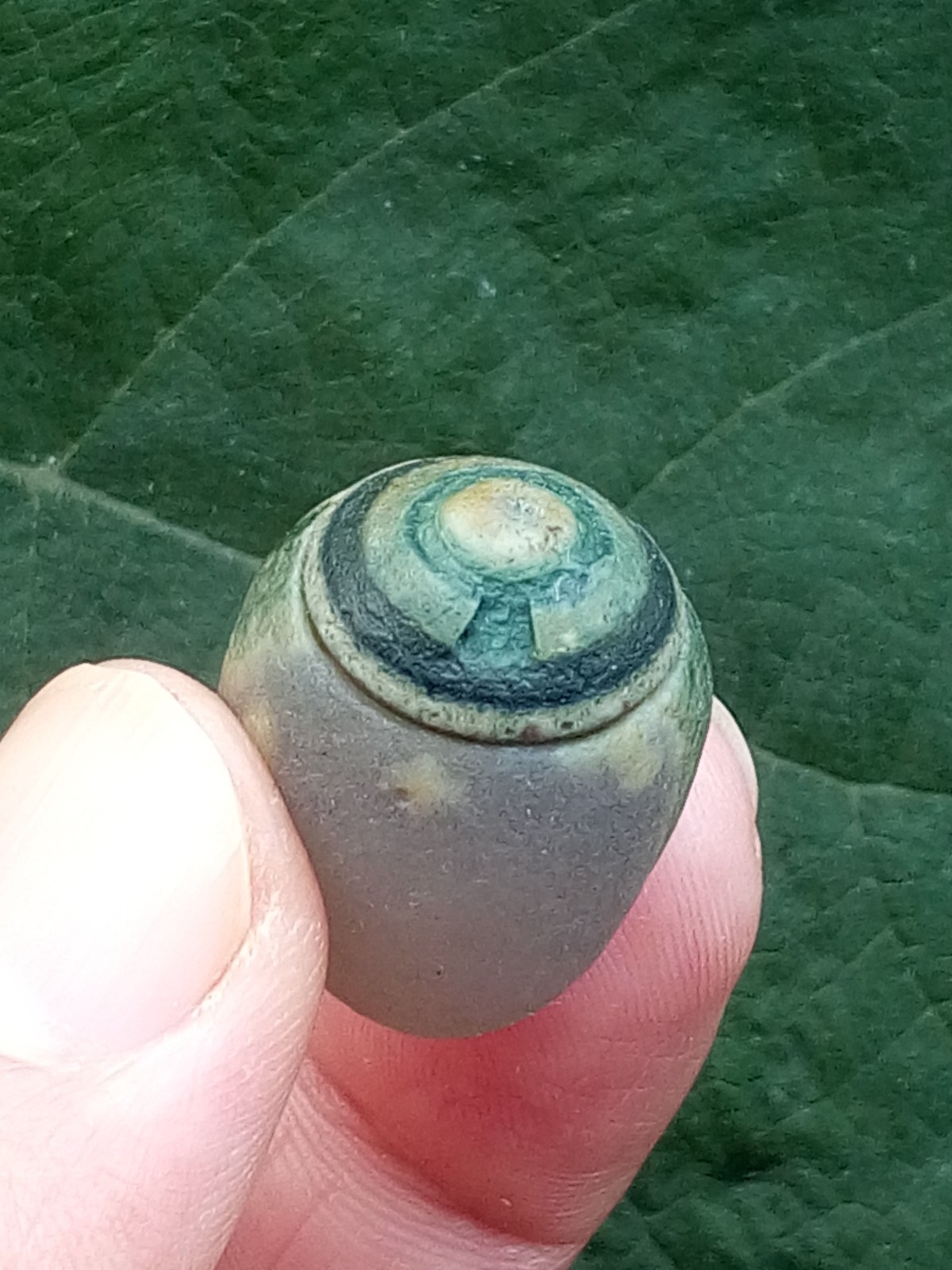 36mm Natural Gobi agate eye agate stone Suiseki-viewing collection china