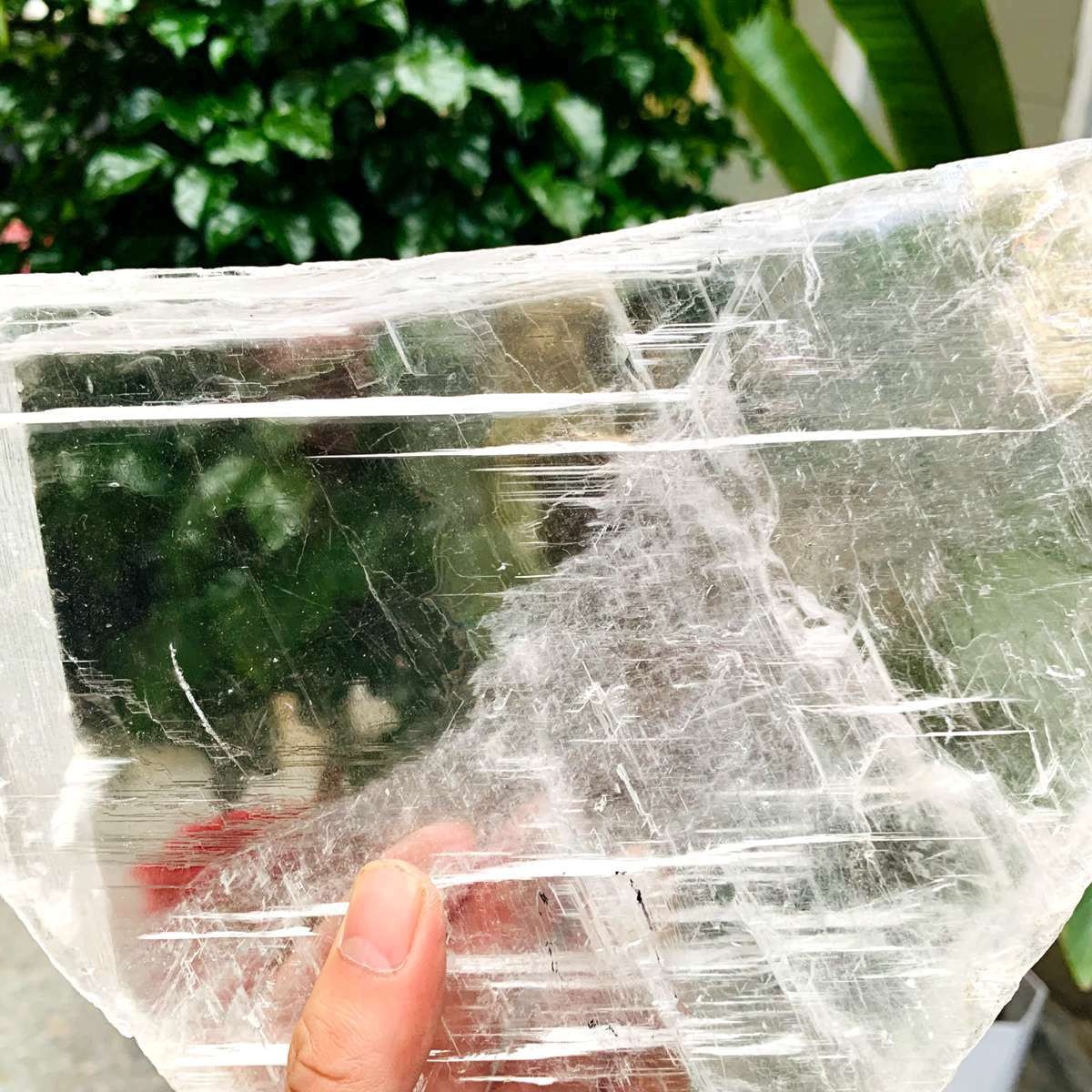 3.59LB Natural Clear Transparent Selenite Slab Gypsum Crystal Mineral Specimen