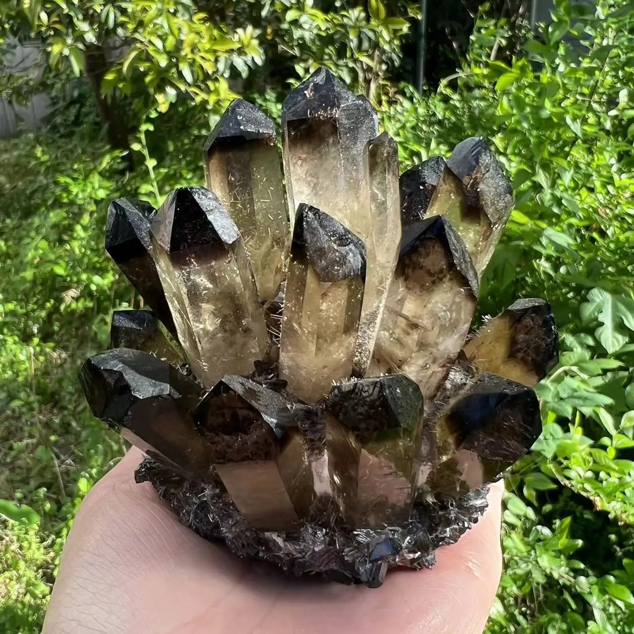 2025 300G New Find Large Smoky Quartz Crystal Healing Cluster Rocks Specimens