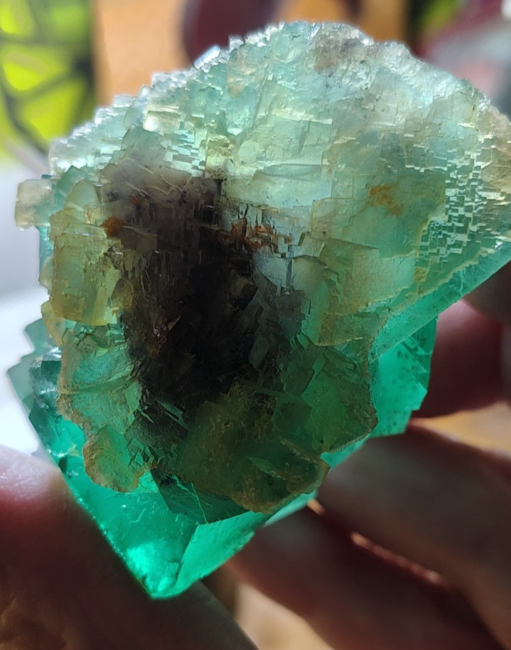 Neon Green Yellow Fluorite octahedrons TOP CLASS Riemvasmaak South Africa