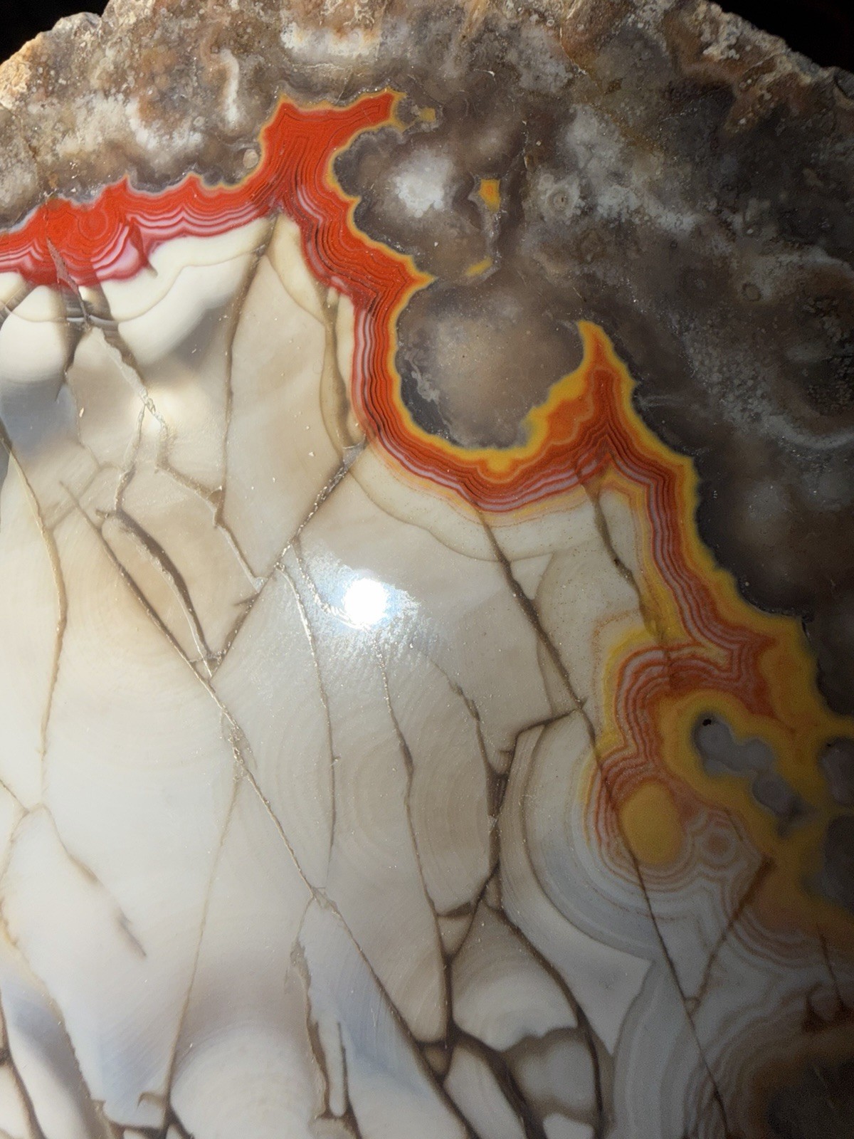 LARGE 1LB 12OZ Fire Kentucky Agate With Dark Fracture Lines Brilliant Contrast