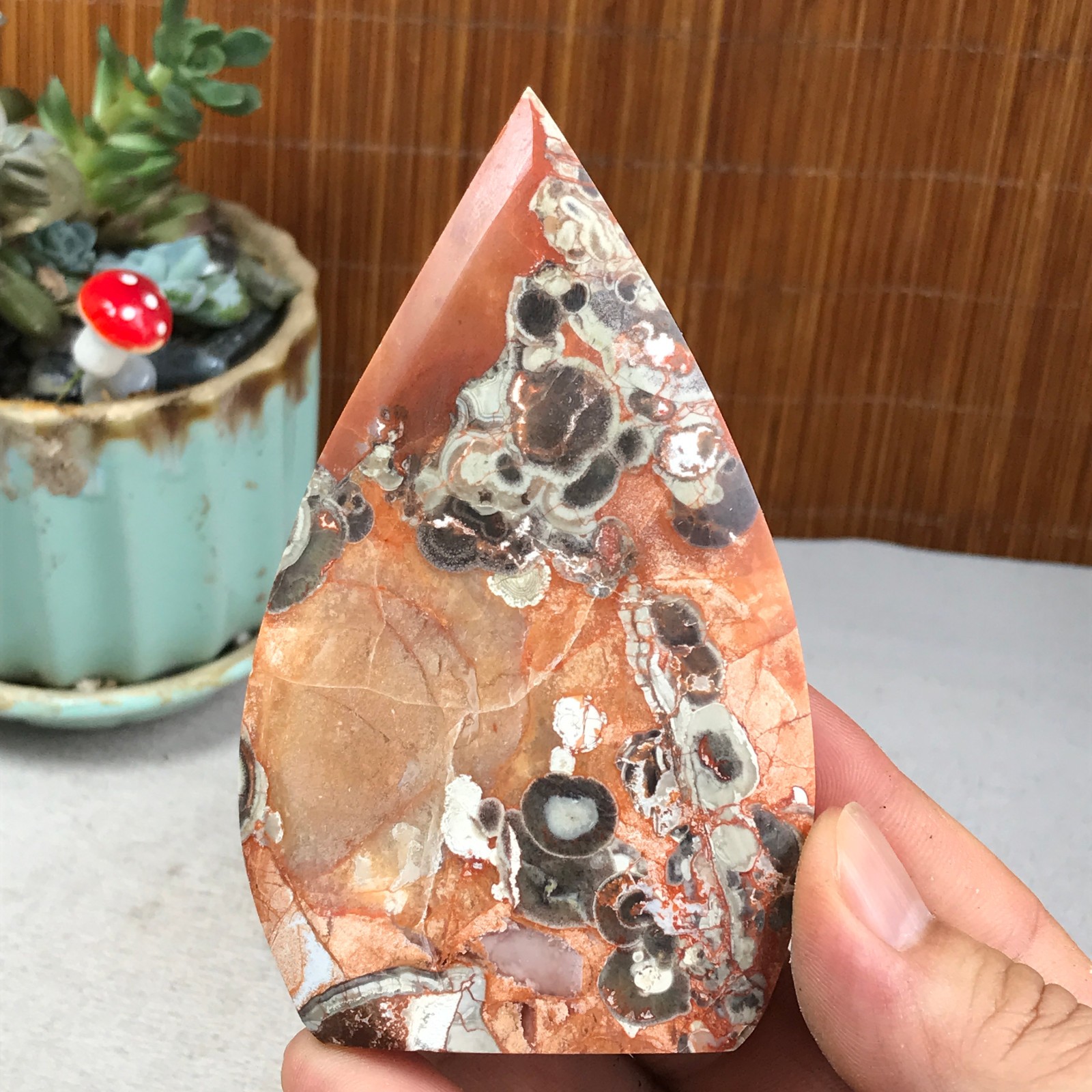 Natural money Mexico agate hand carve leaf Crystal Specimen free standing A6261