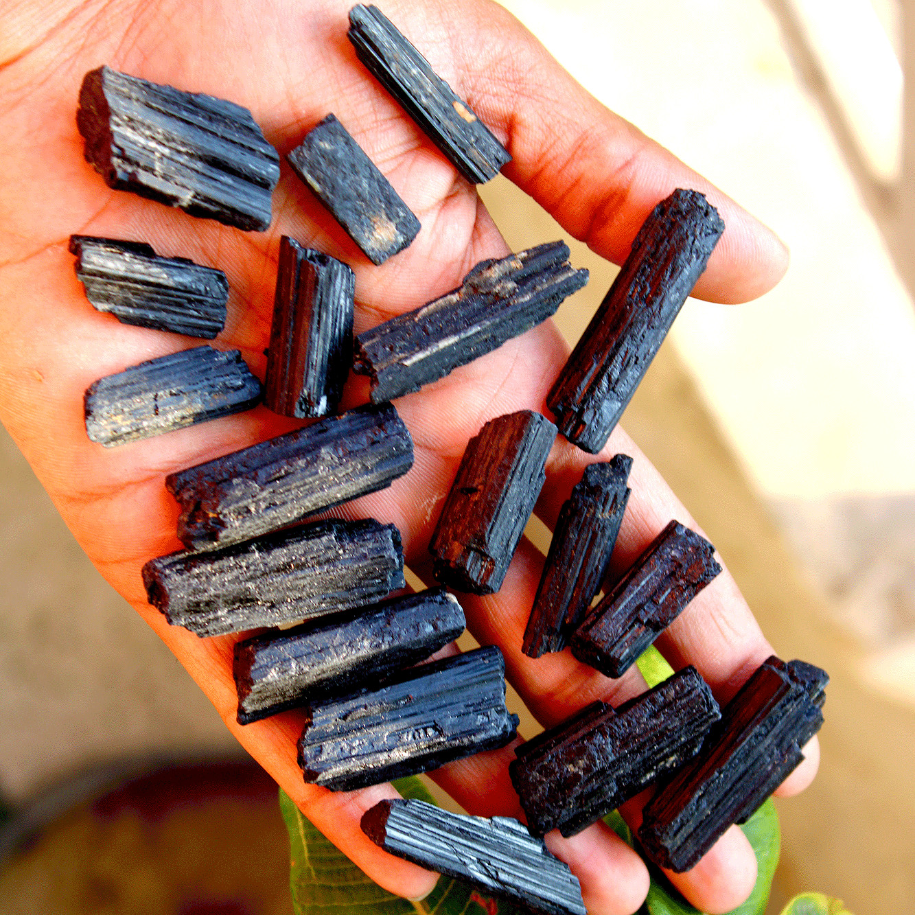 10 Pcs Natural Black Tourmaline Raw Crystal Points Healing Mineral Specimen