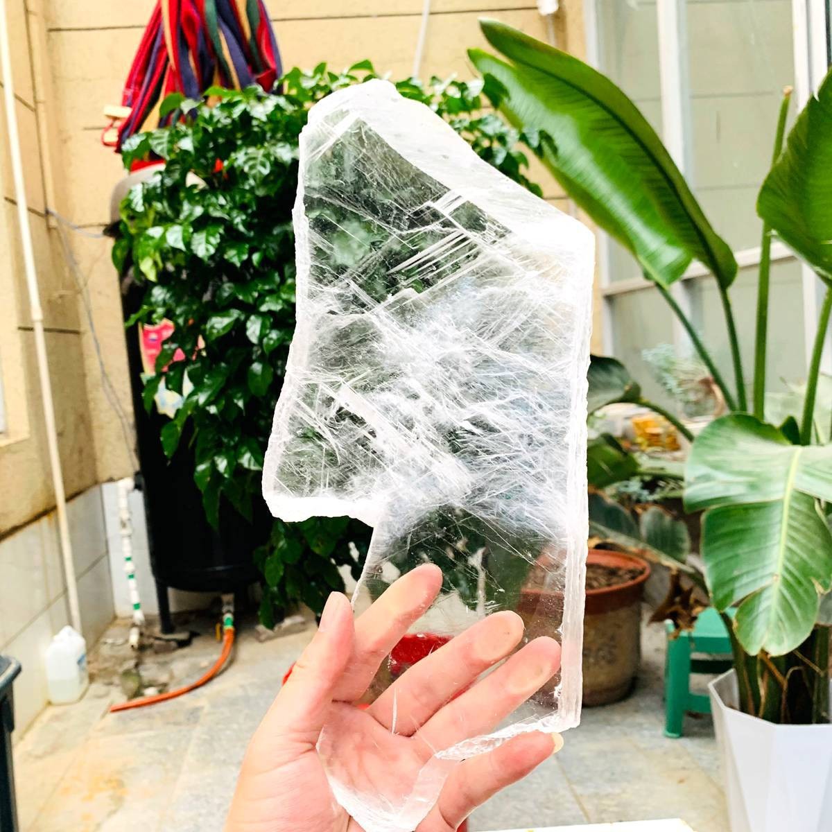 2.84LB Natural Clear Transparent Selenite Slab Gypsum Crystal Mineral Specimen