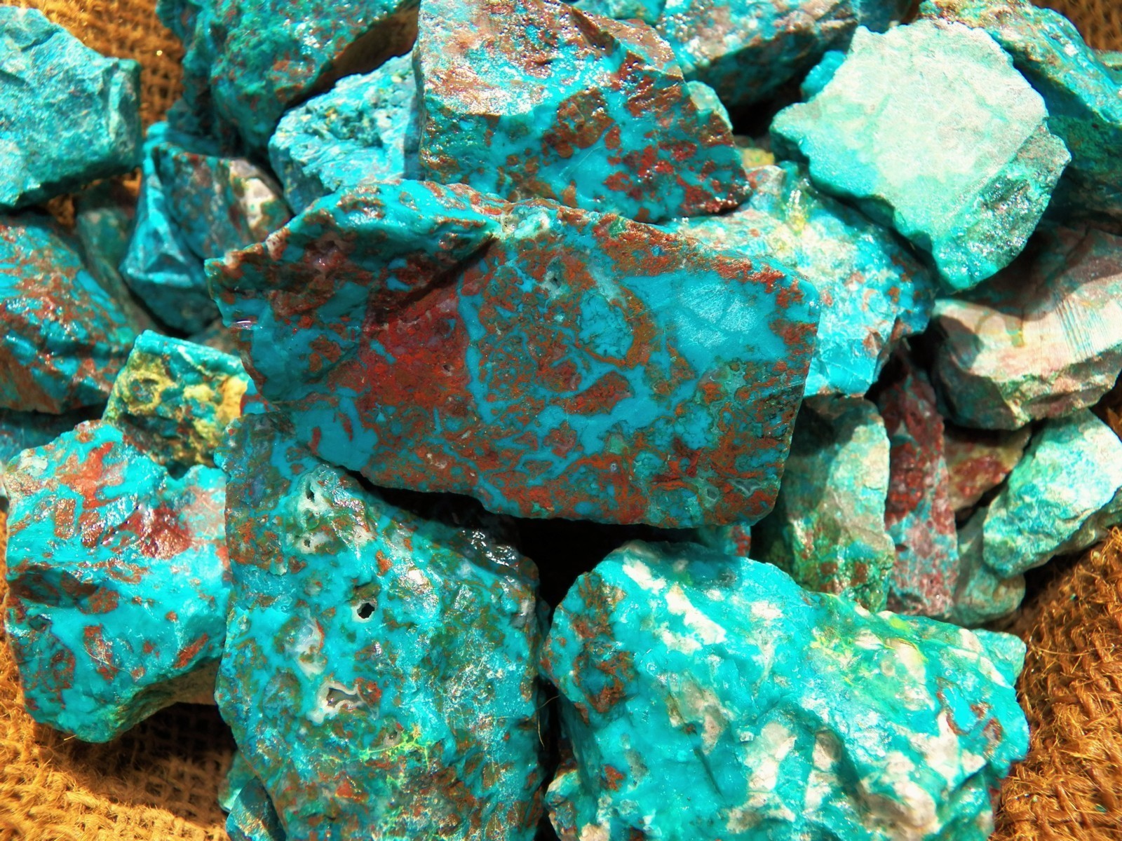 3000 Carat Lots of Chrysocolla & Turquoise Rough – Plus a FREE Faceted Gemstone