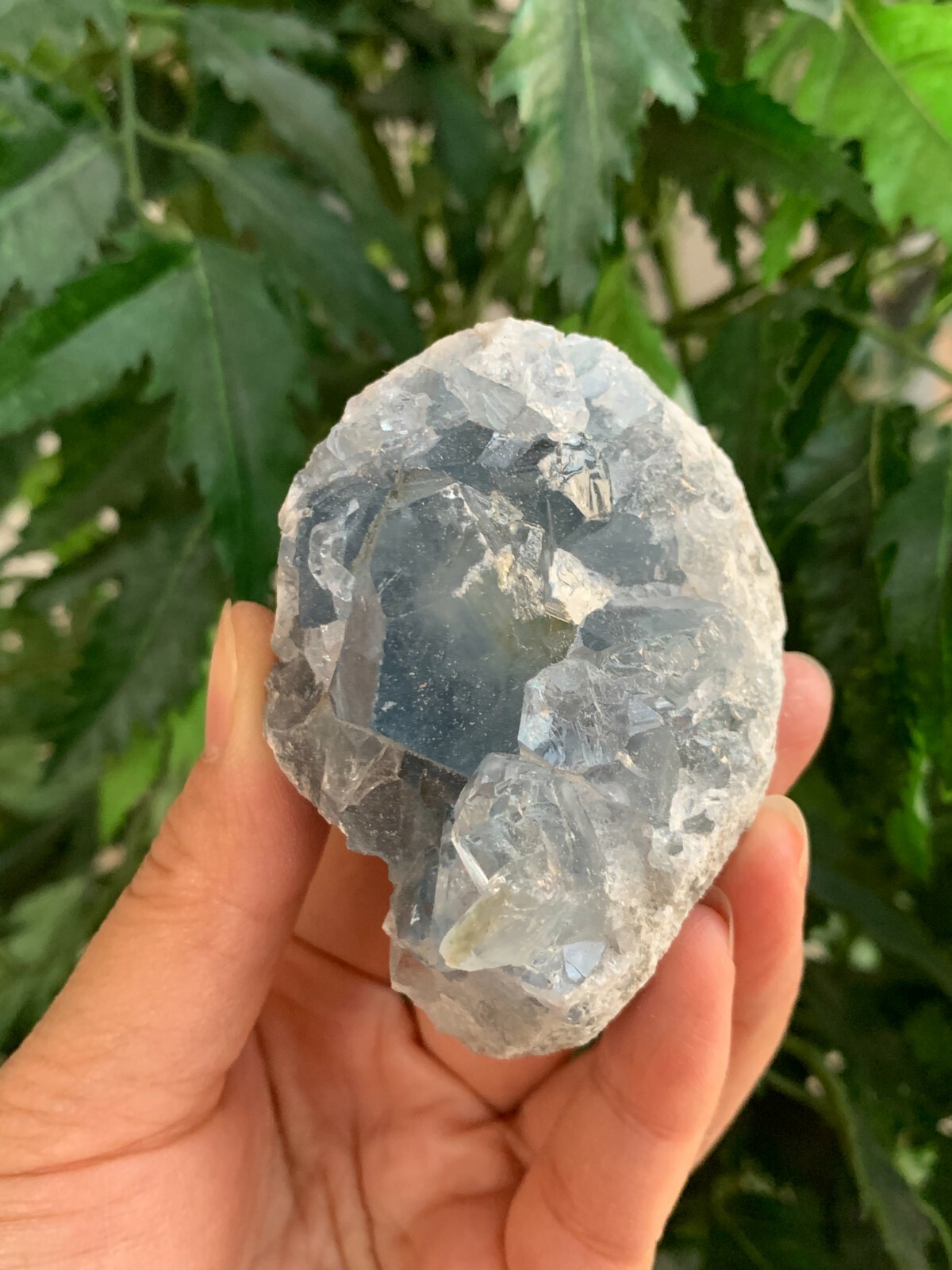 Raw Celestite Cluster, Celestite Geode, Natural Blue Celestite, Pick a Weight