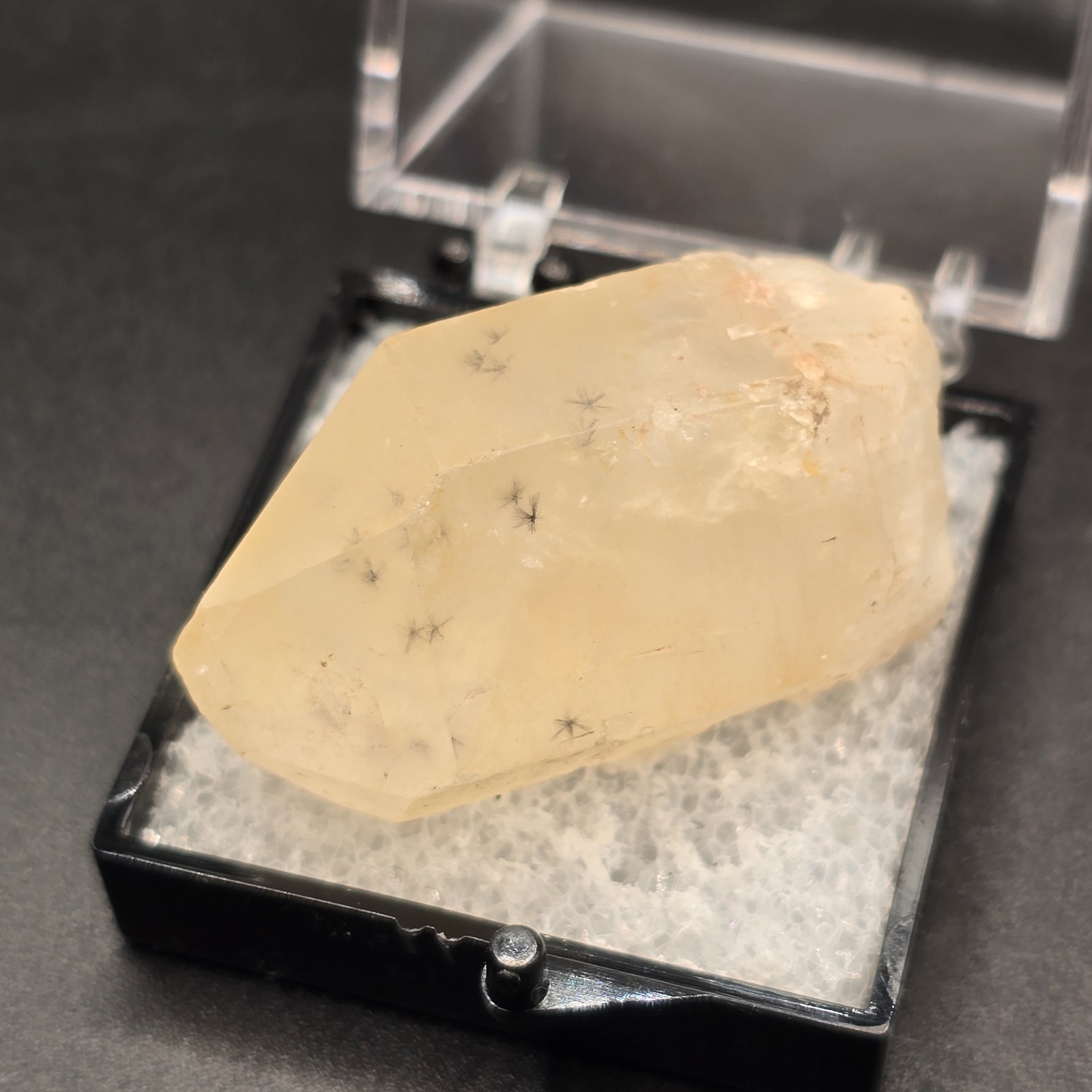 Hollandite Spider Quartz Point Crystal Madagascar Gemstone Specimen in Perky Box