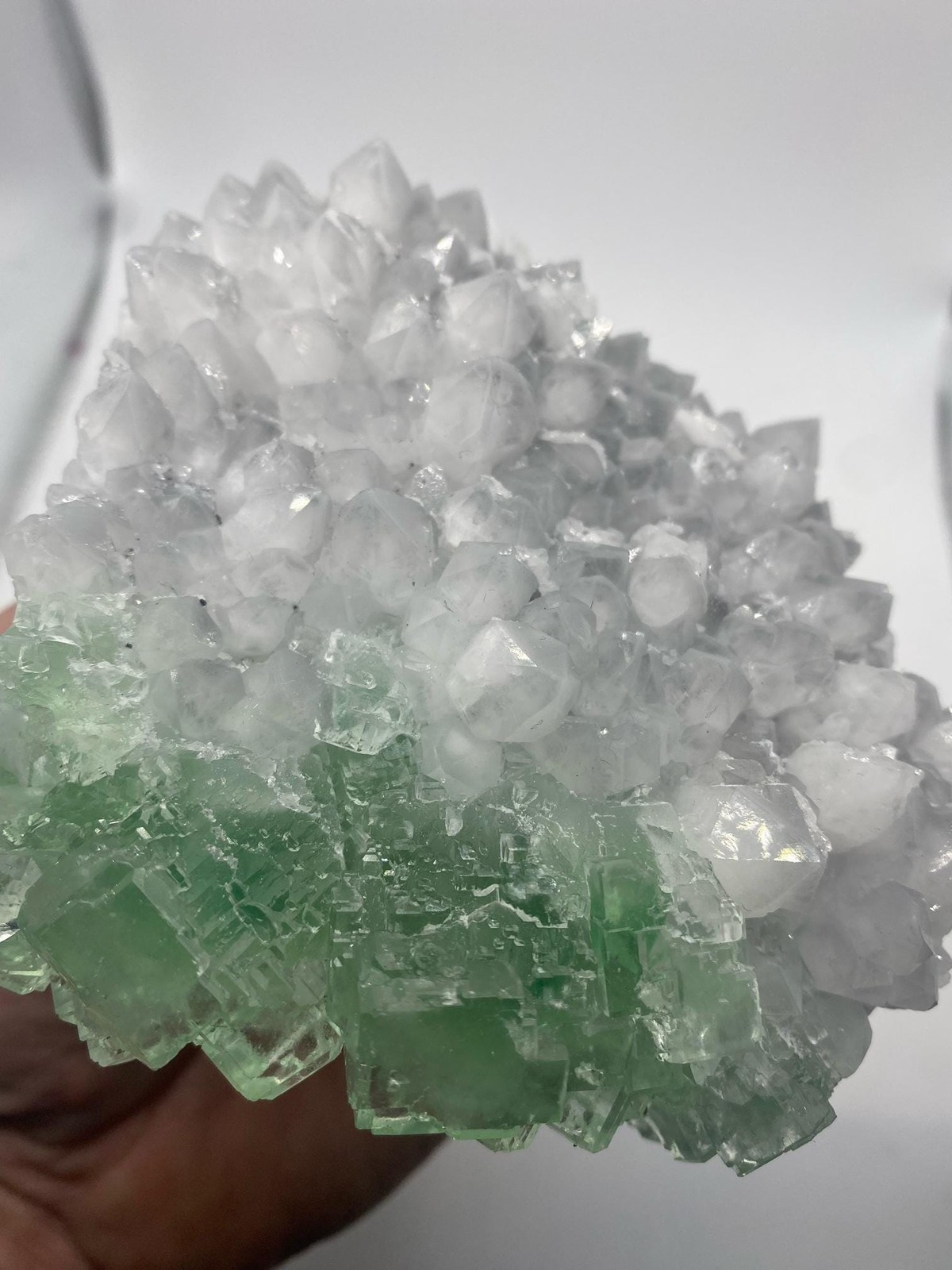 Self Standing Bright Green Fluorite on Quartz! See Video!!!