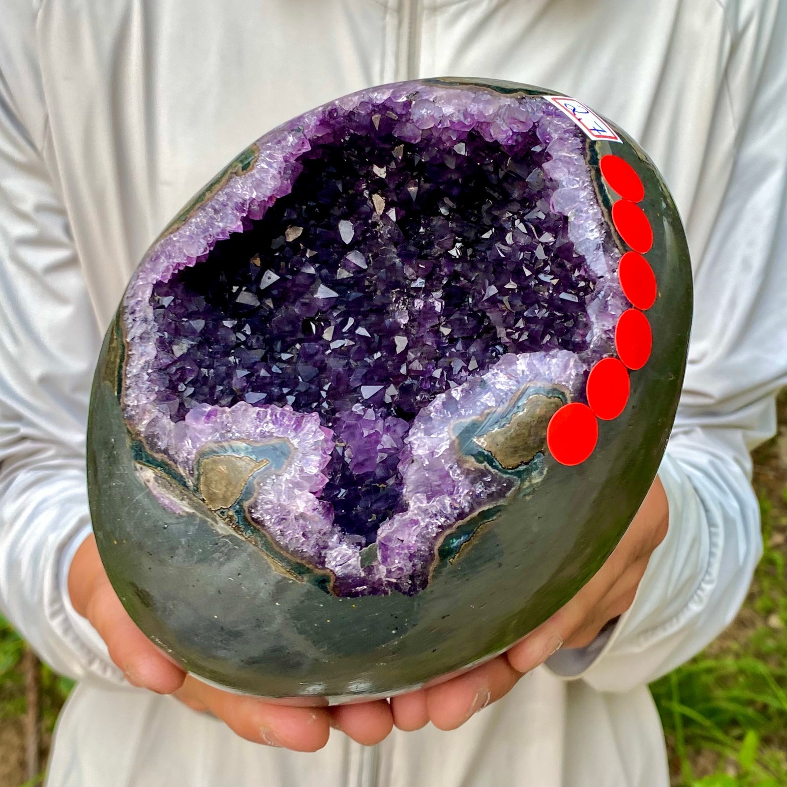 5.95LB Natural amethyst Dinosaur egg Quartz Crystal specimen healing