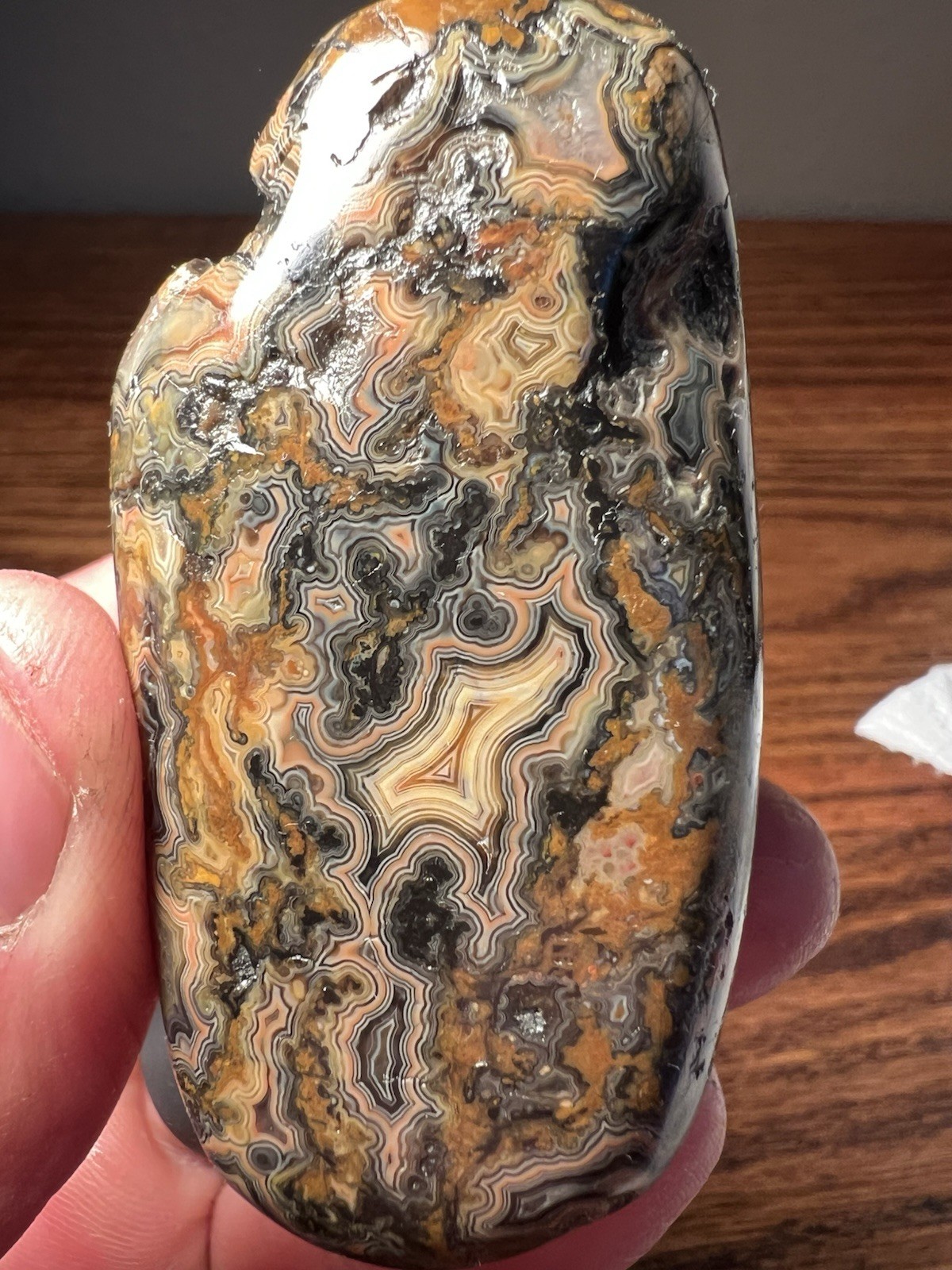 Very Nice Museum Quality Nebraska Fairburn Agate 5.25 oz 2.75×1.5×1.5”