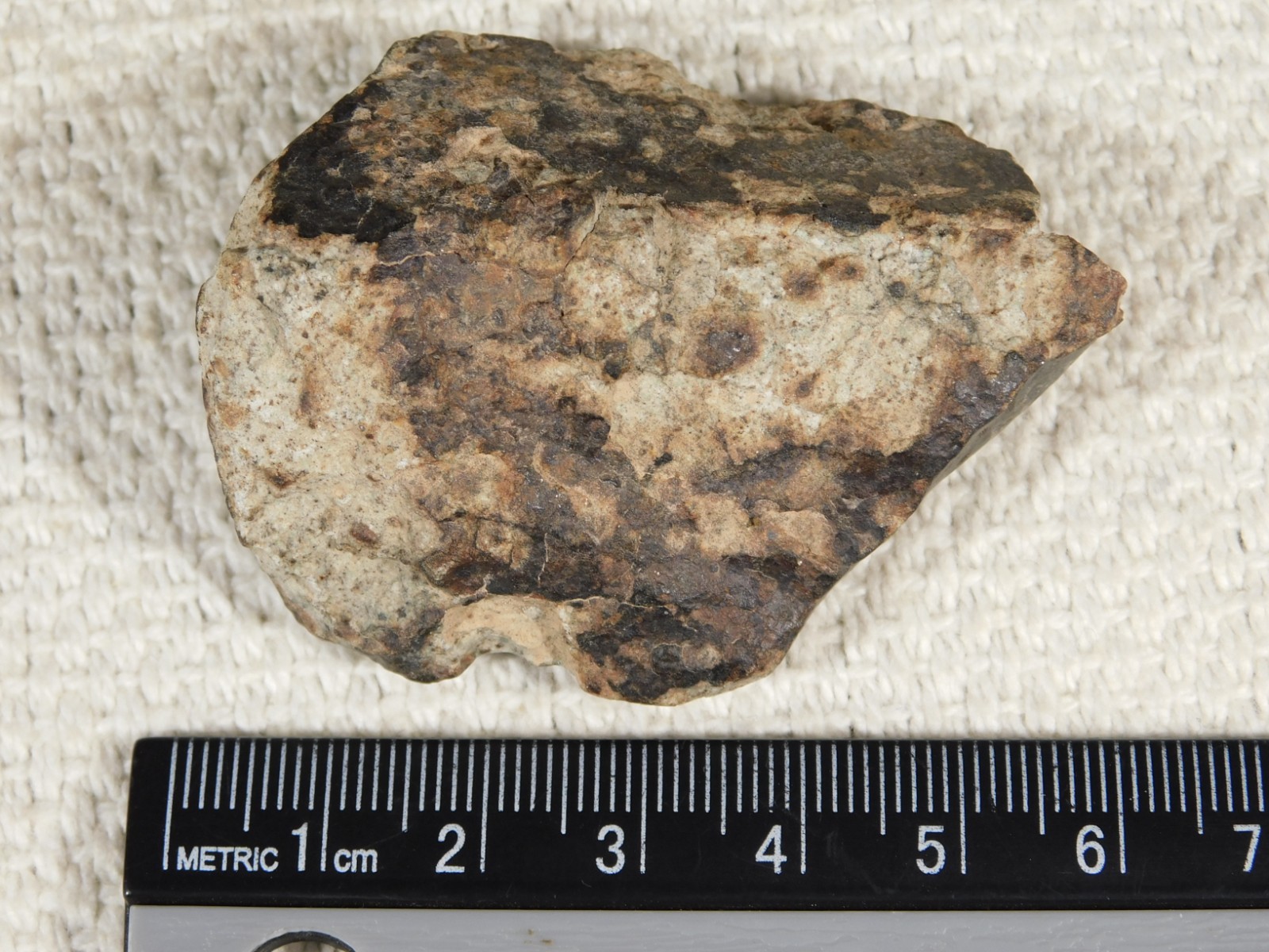 Stony METEORITE with DARK Fusion Crust and Contraction CRACKS 70.2gr