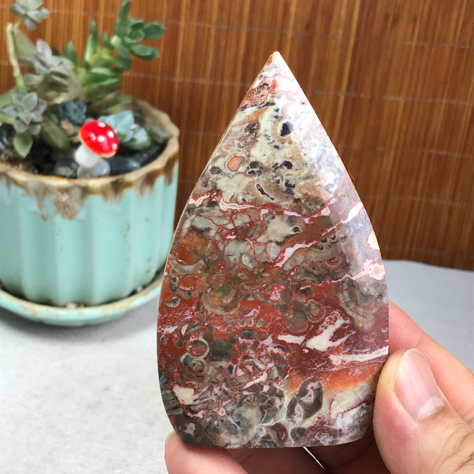 Natural money Mexico agate hand carve leaf Crystal Specimen free standing A6267