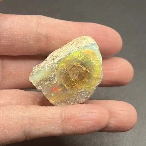 Ethiopian Welo Genuine Opal 23.8g Approximately 1 1/2in AWESOME FLASHES