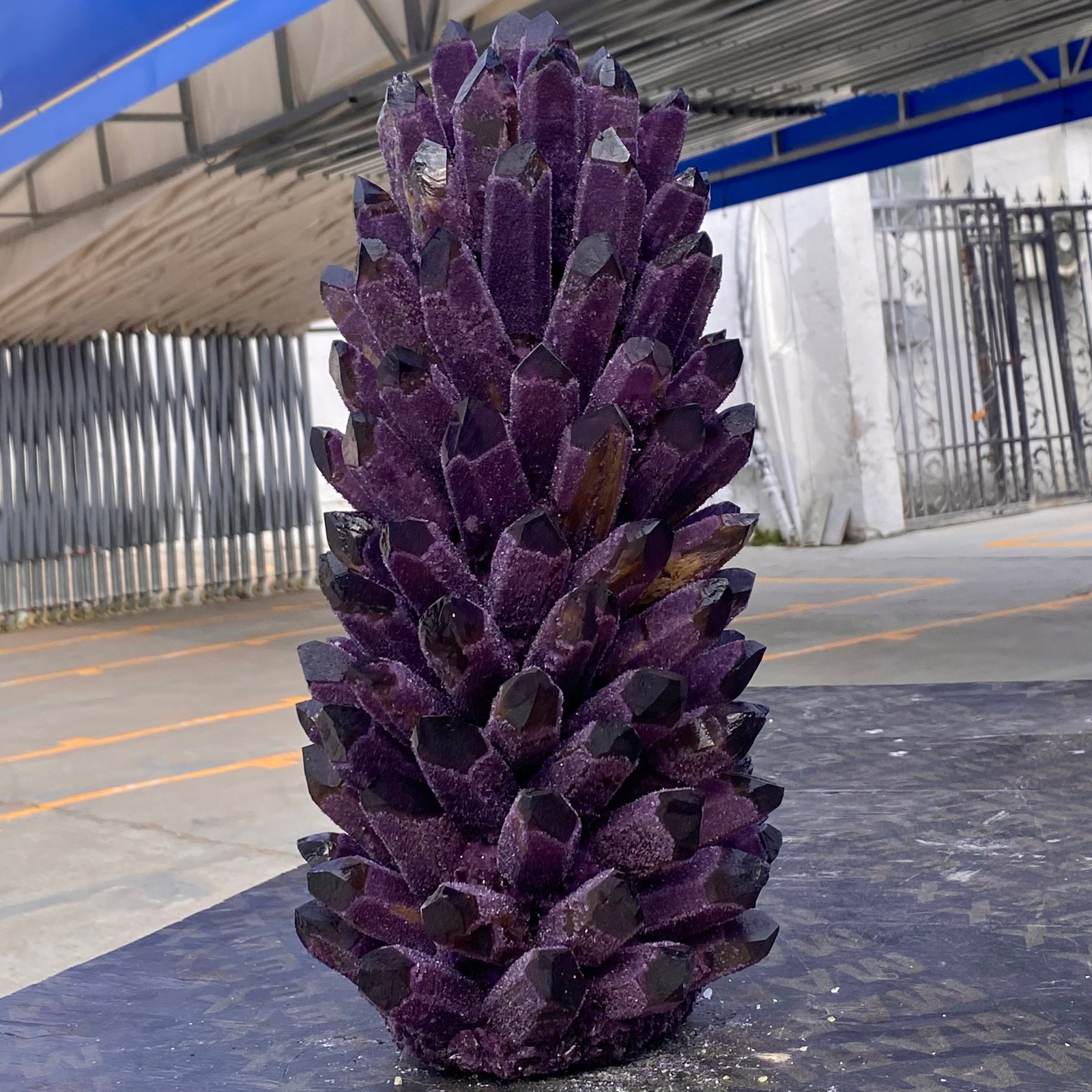 26.7LB Natural Purple Crystal Cluster/Flower Shape Mineral Specimen healing