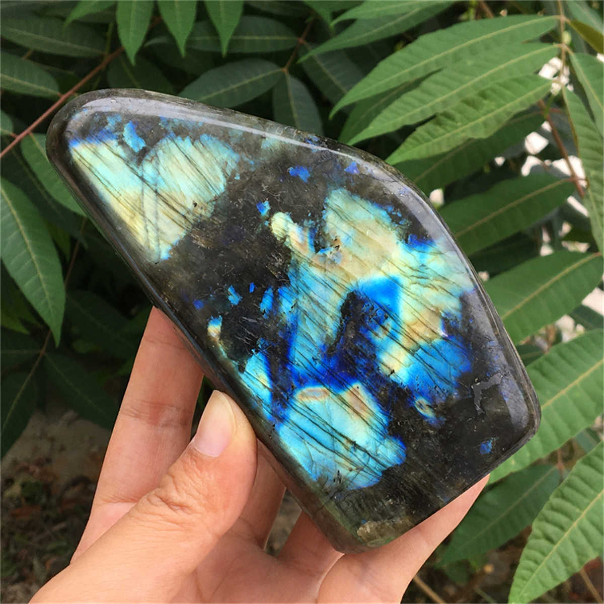 760g Natural Labradorite Mineral Quartz Crystal Mineral Reiki healing