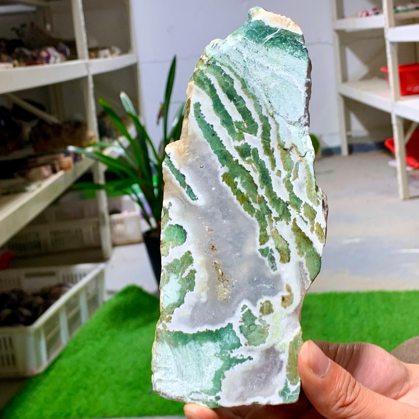 300G Natural green moss agate crystal raw stone flakes quart specimen