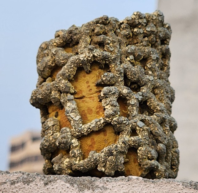 (640g) Crafted with an eye for natural beauty, this unbranded bracelet pyrite..