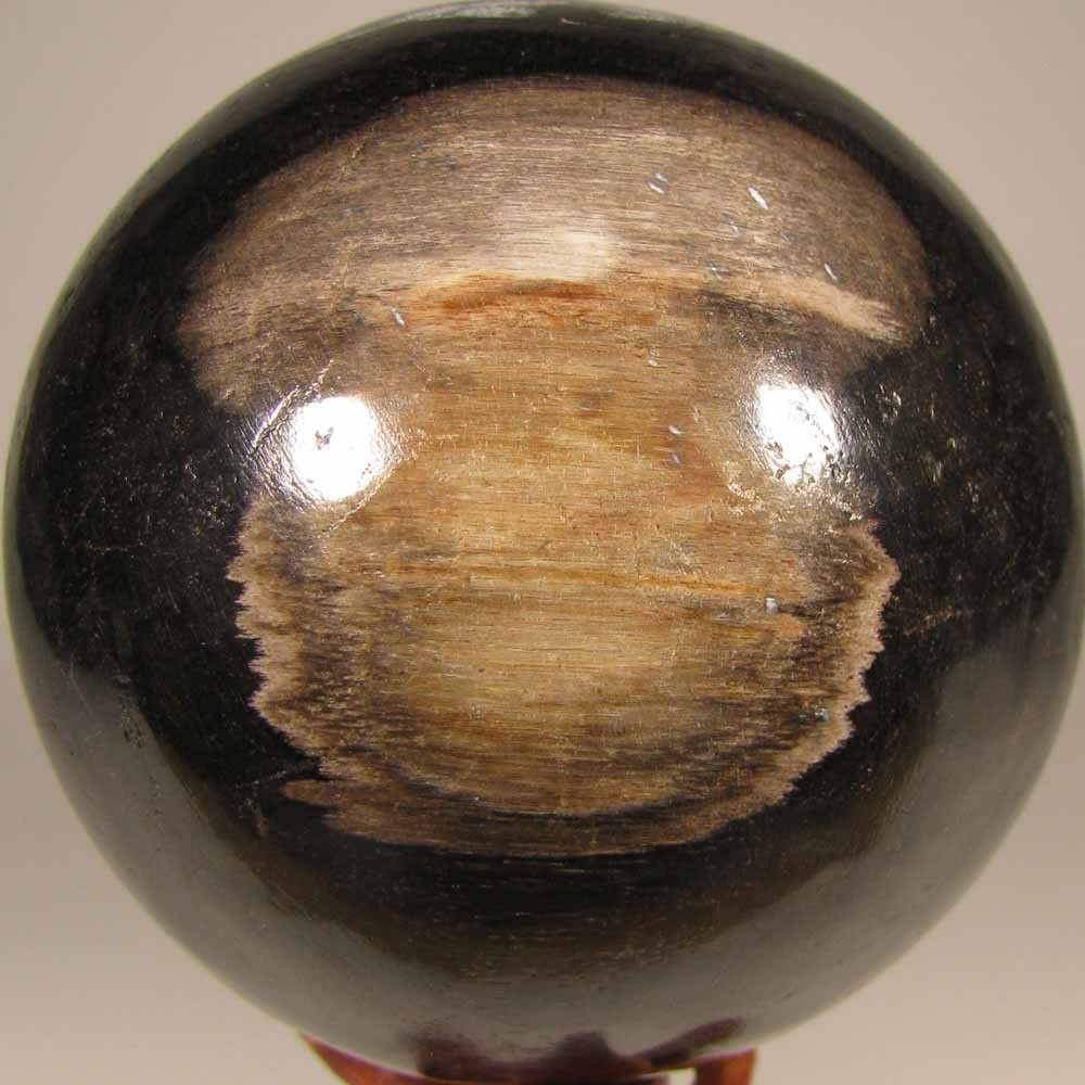3.4″ PETRIFIED WOOD Sphere Ball w/ Stand – Indonesia – 87mm – 1.9 lbs.