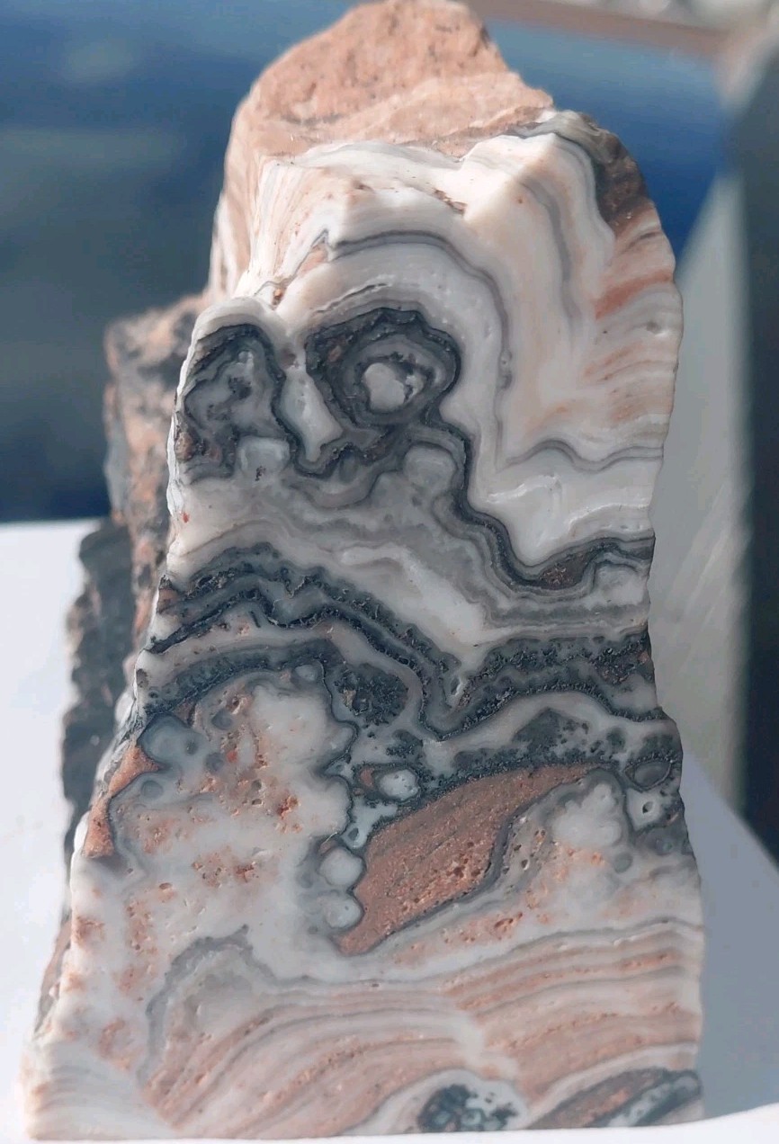Zebra Calcite Self-Standing Display 1 1/4 Lb Dendritic Psychedelic Crisp Bands