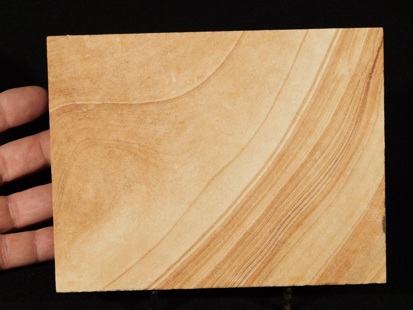 LARGER! PICTURE Stone or SANDSTONE Slice/Slab with Display Stand Utah 447gr
