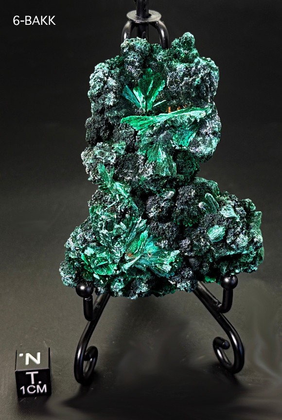 Fibrous Malachite World Class Stunning Presentation – Must See Video! US Seller