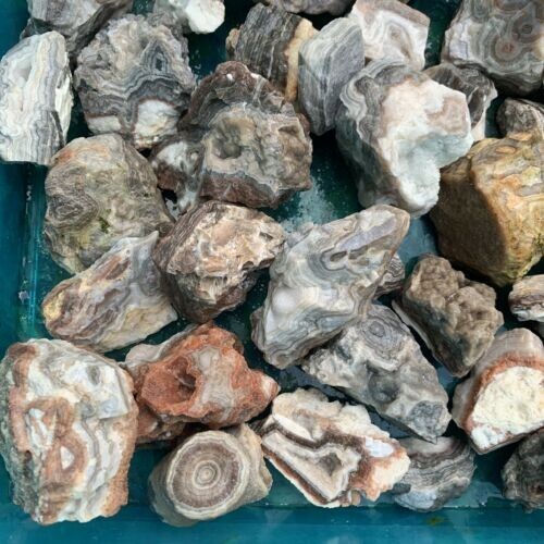 WASHINGTON MIXED ROUGH RIVER AND MOUNTAIN ROCKS FOR CRAFTS, NOT POLISHED!