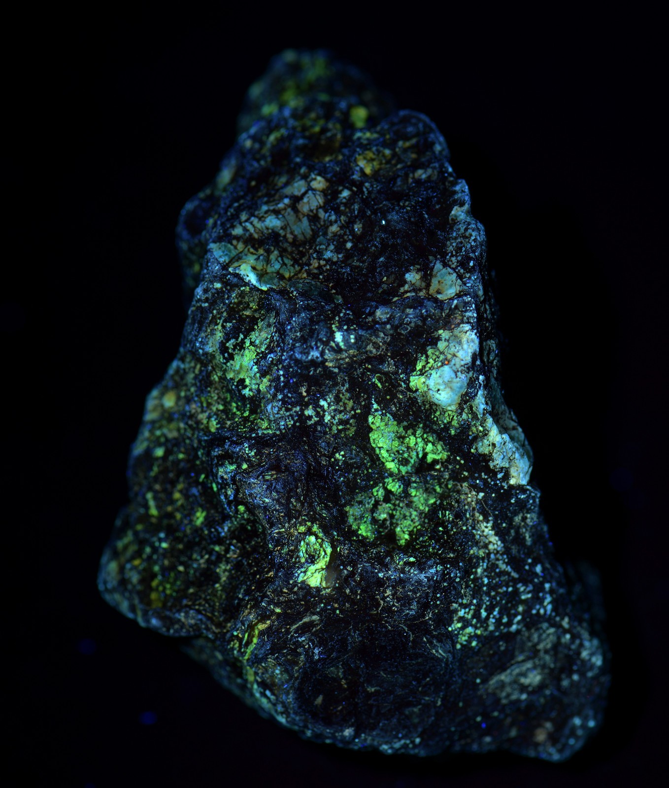 Opal on Sepentine with Magnetite, UV. San Benito, California. 213 grams.