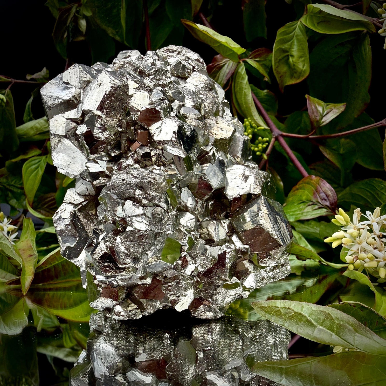 Large High-Grade AA Peruvian Pyrite Crystal Cluster #59 | Collectors Peruvian