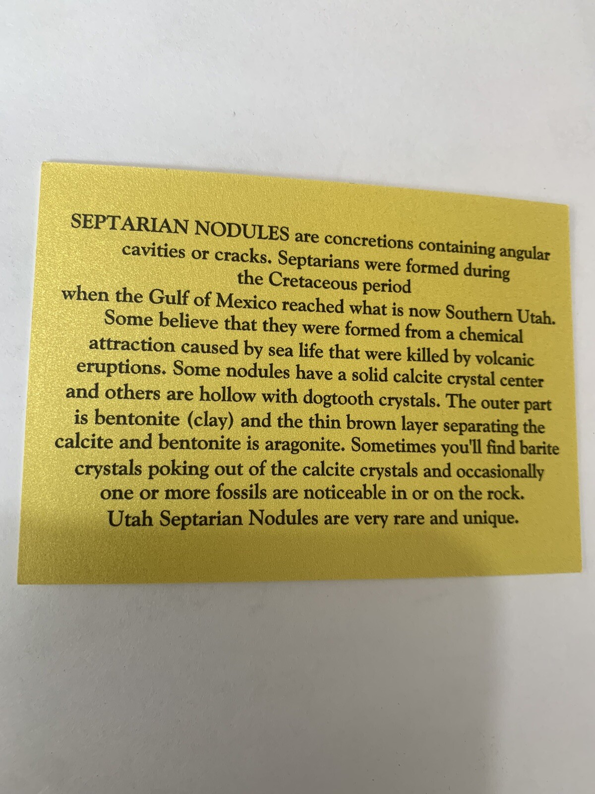 Septarian Nodule Freeform ( Utah)with Description Card