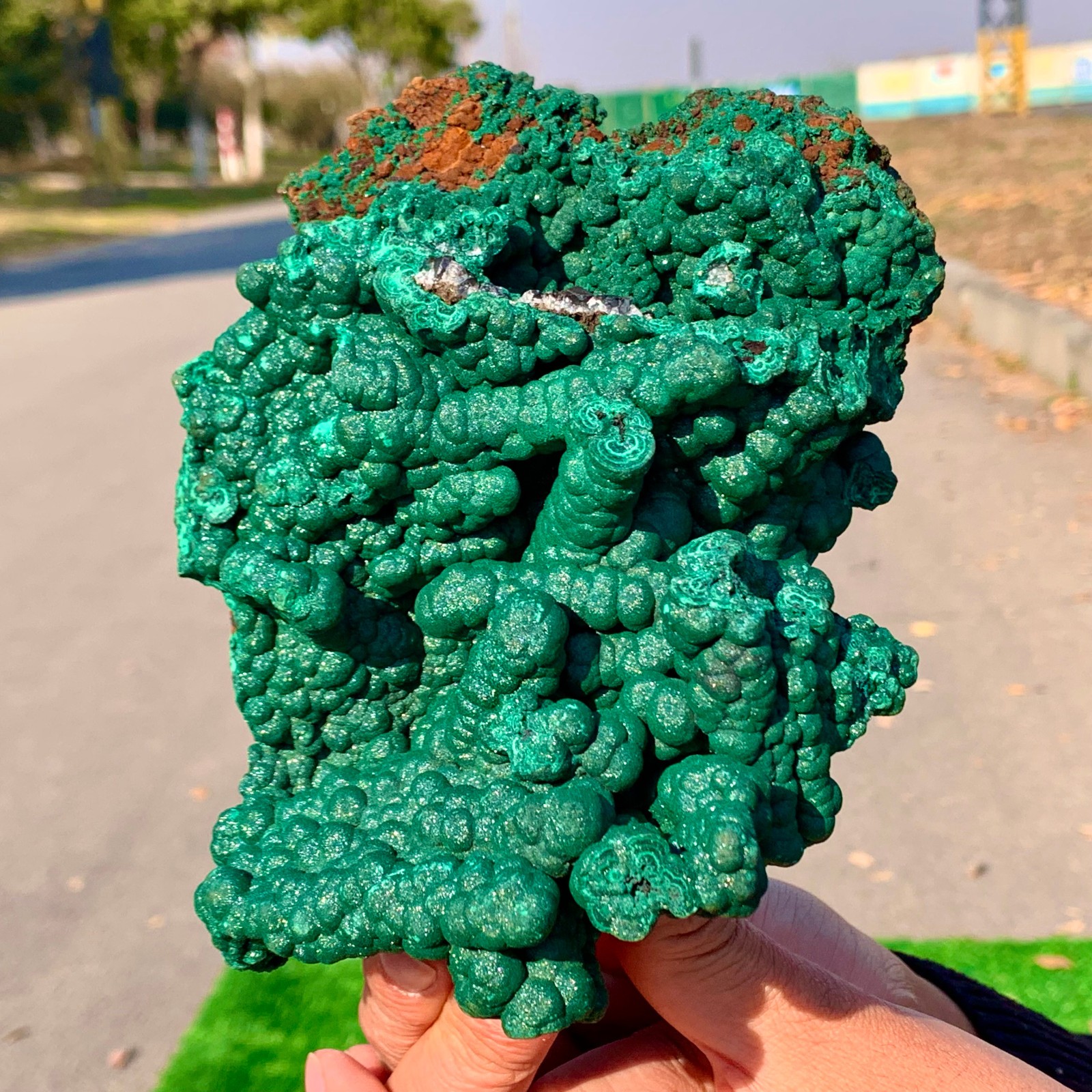 2.2LB Natural VELVET Azurite/Malachite cat’s eye specimen crystal mineral-Congo