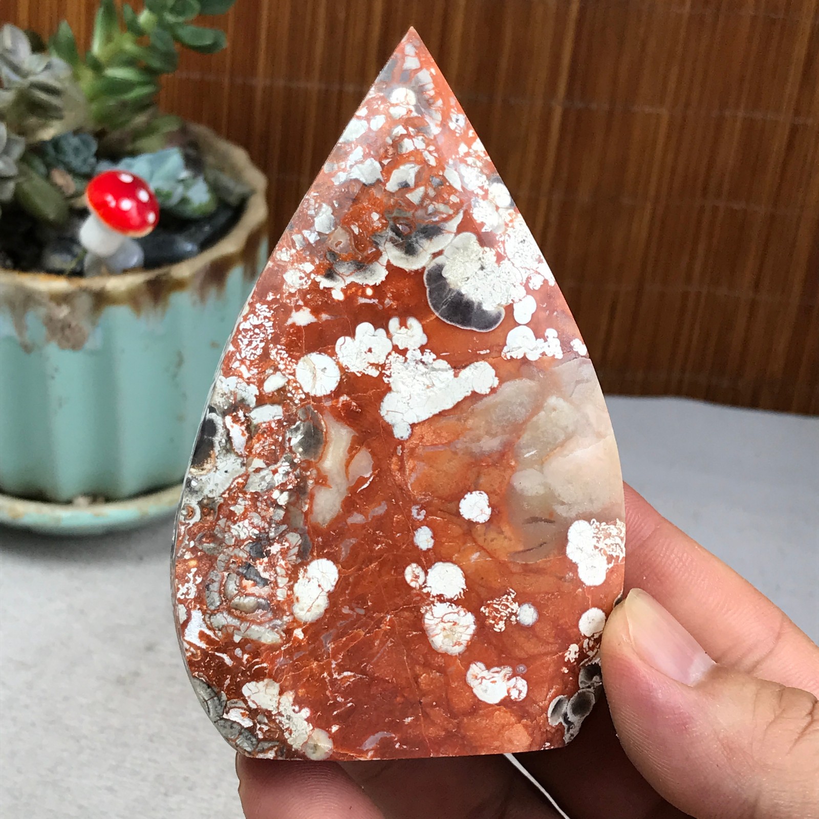 Natural money Mexico agate hand carve leaf Crystal Specimen free standing A6266