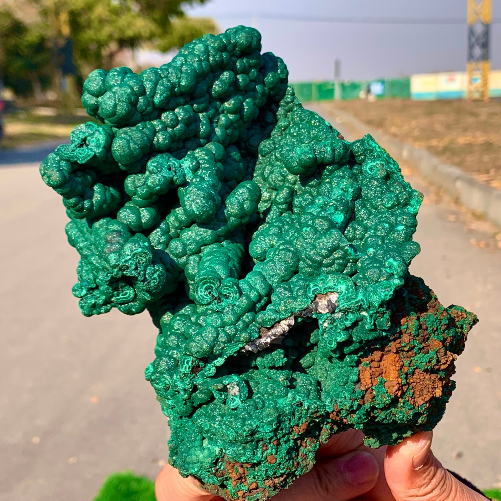 2.2LB Natural VELVET Azurite/Malachite cat’s eye specimen crystal mineral-Congo
