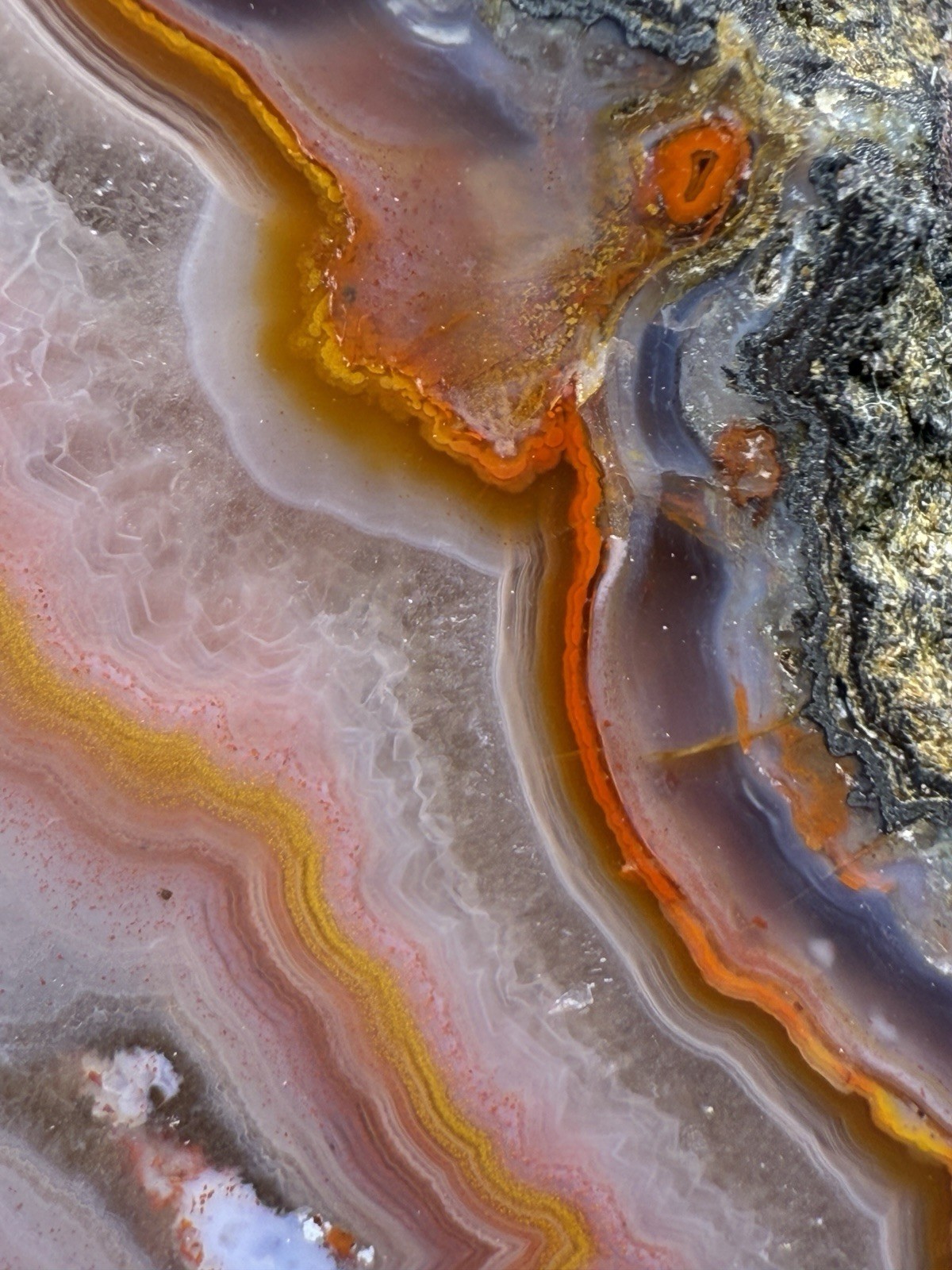 SEE VIDEO High-Grade Multicolor Moroccan Agate | High Atlas | Collector Specimen