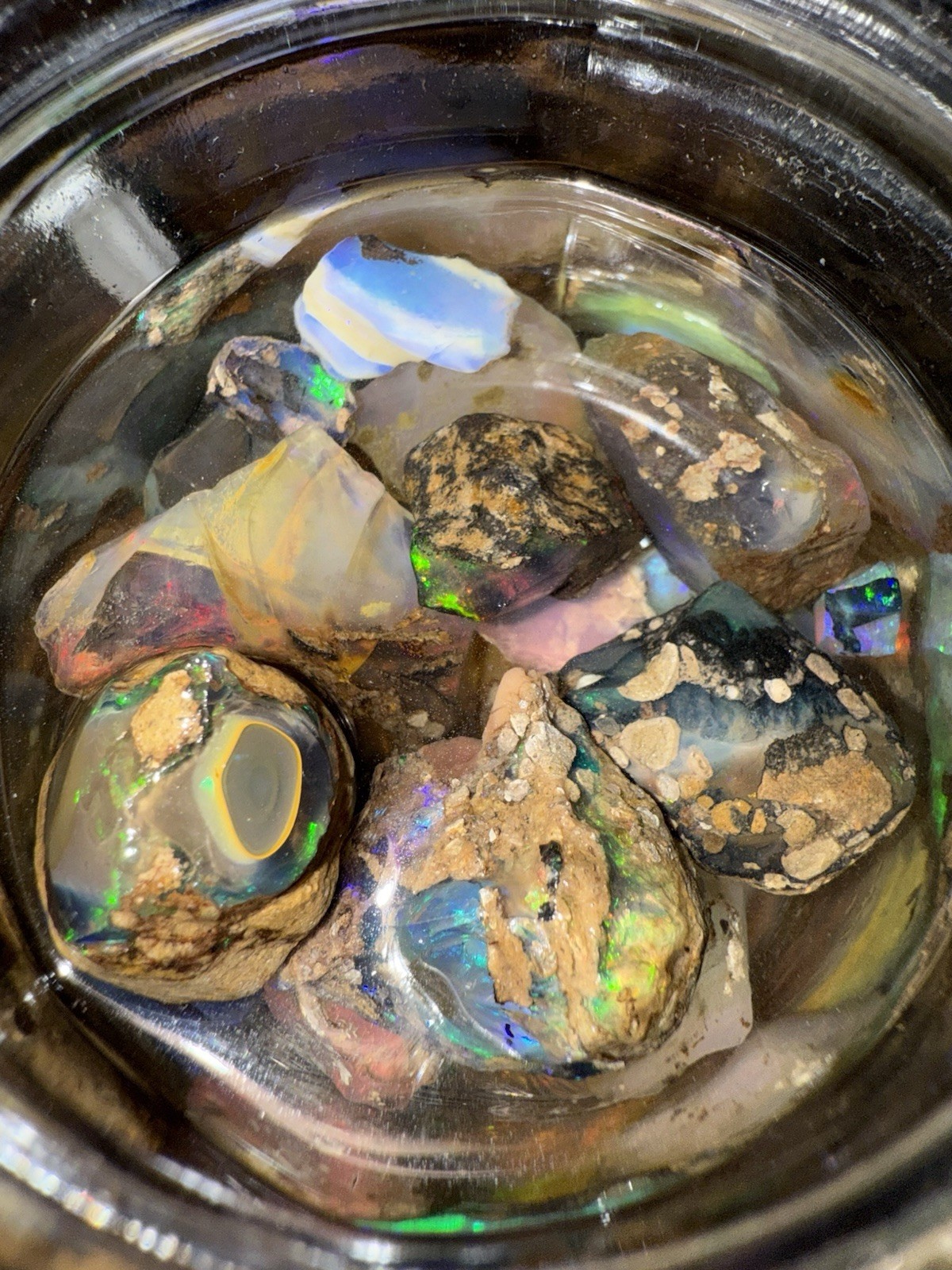 Specimen Rough Opal Stones in Jar – Ethiopian Rough, Multiple Mixed-Color Pieces