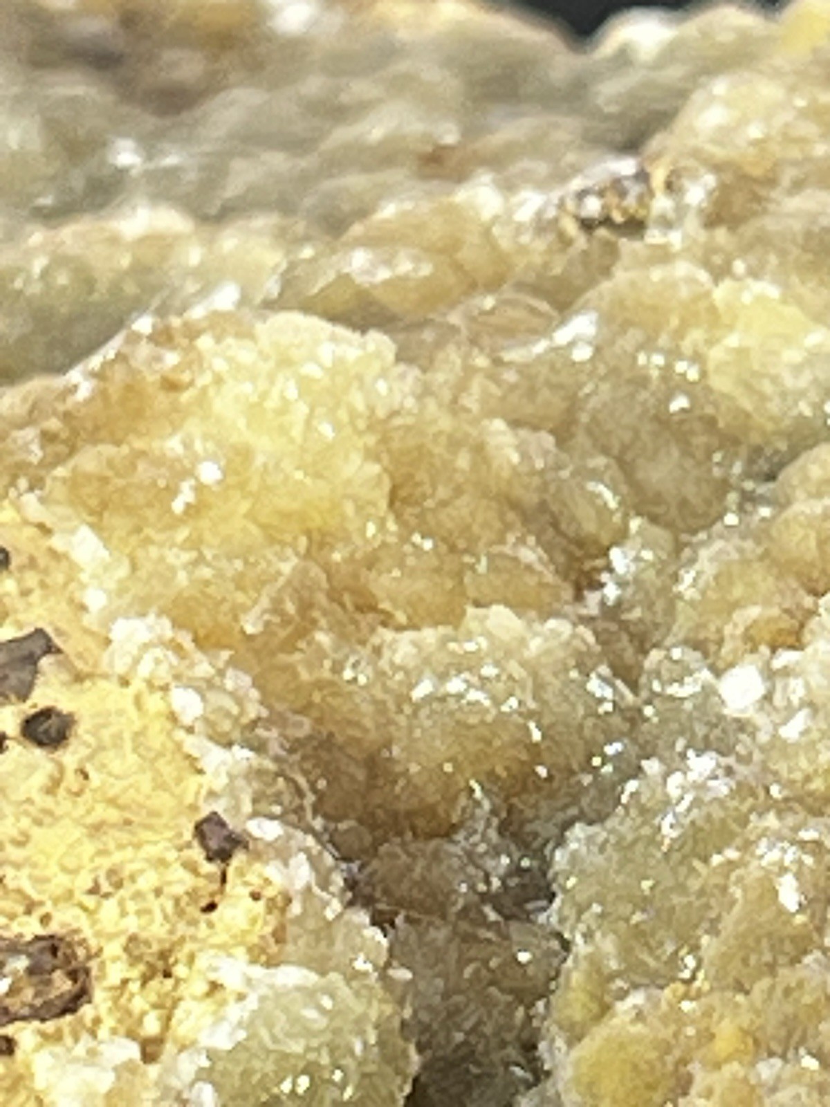 Smithsonite on Sphalerite from Ojuela Mine, Mapimi, Durango, Mex 1 Lb. 10.4 oz.