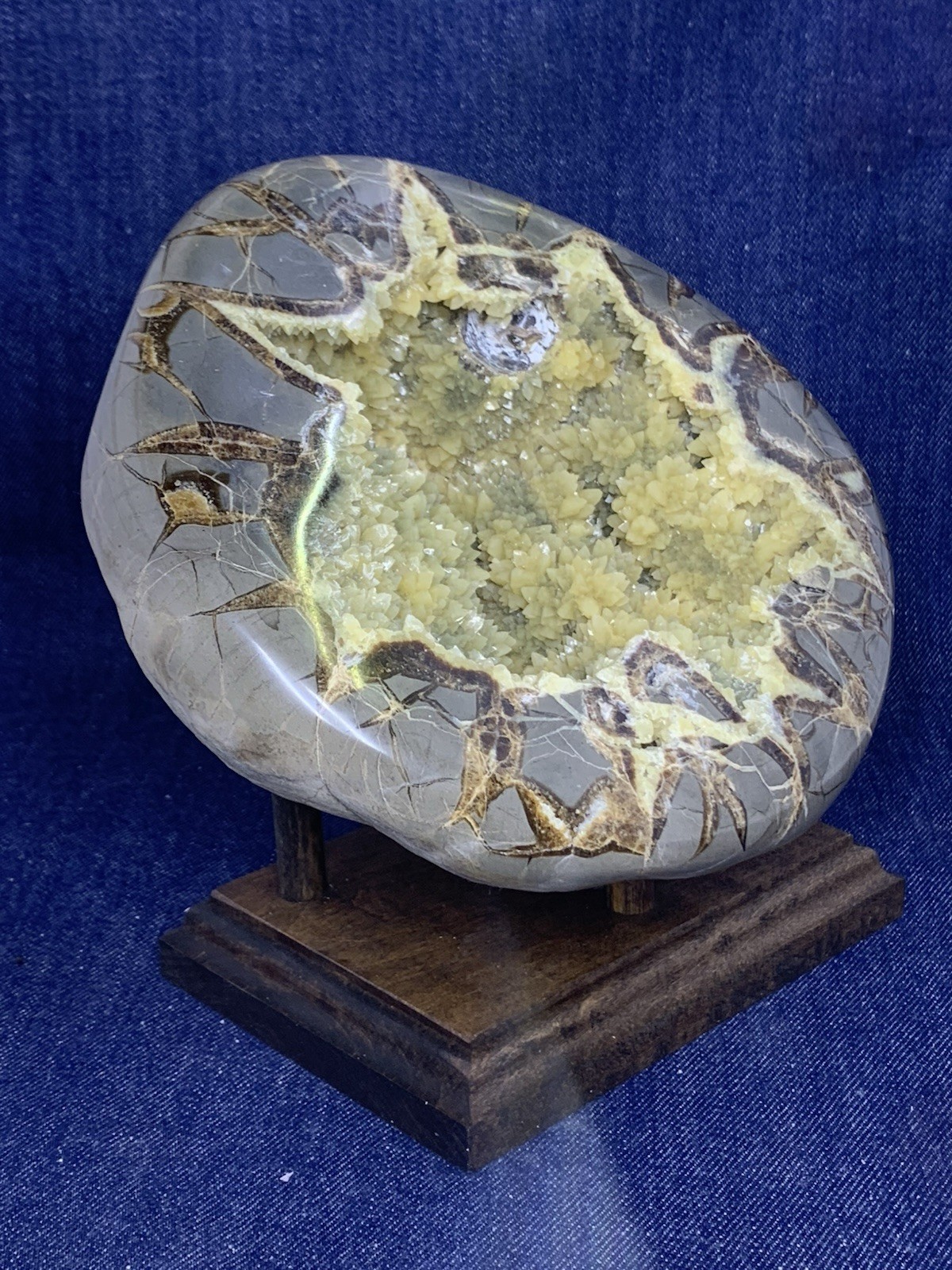 Septarian Nodule Dragon Stone Hollow Half ( Utah) Description Card, And Stand