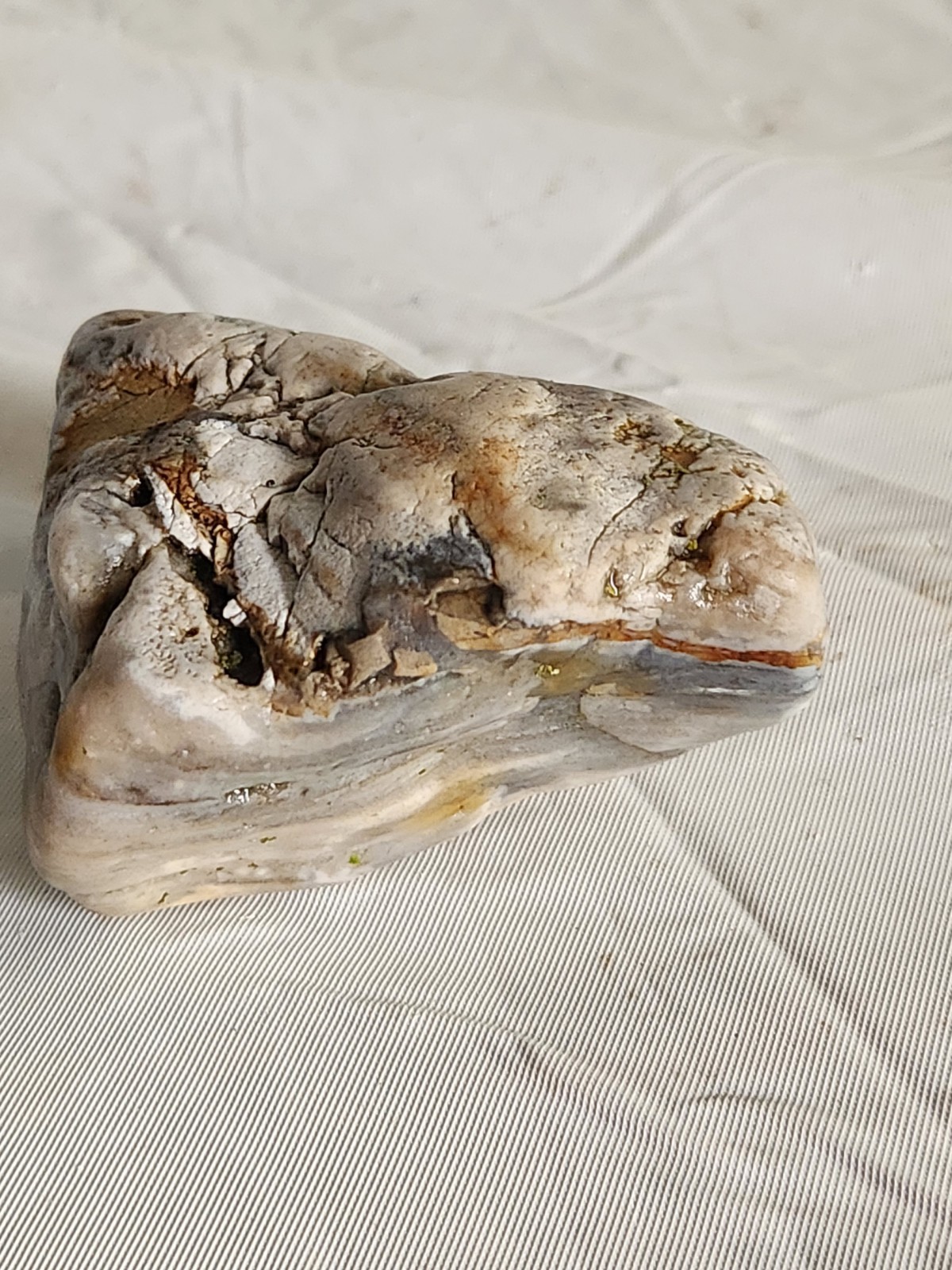 Lake Superior Agate Wisconsin 5.6 oz • Not Polished