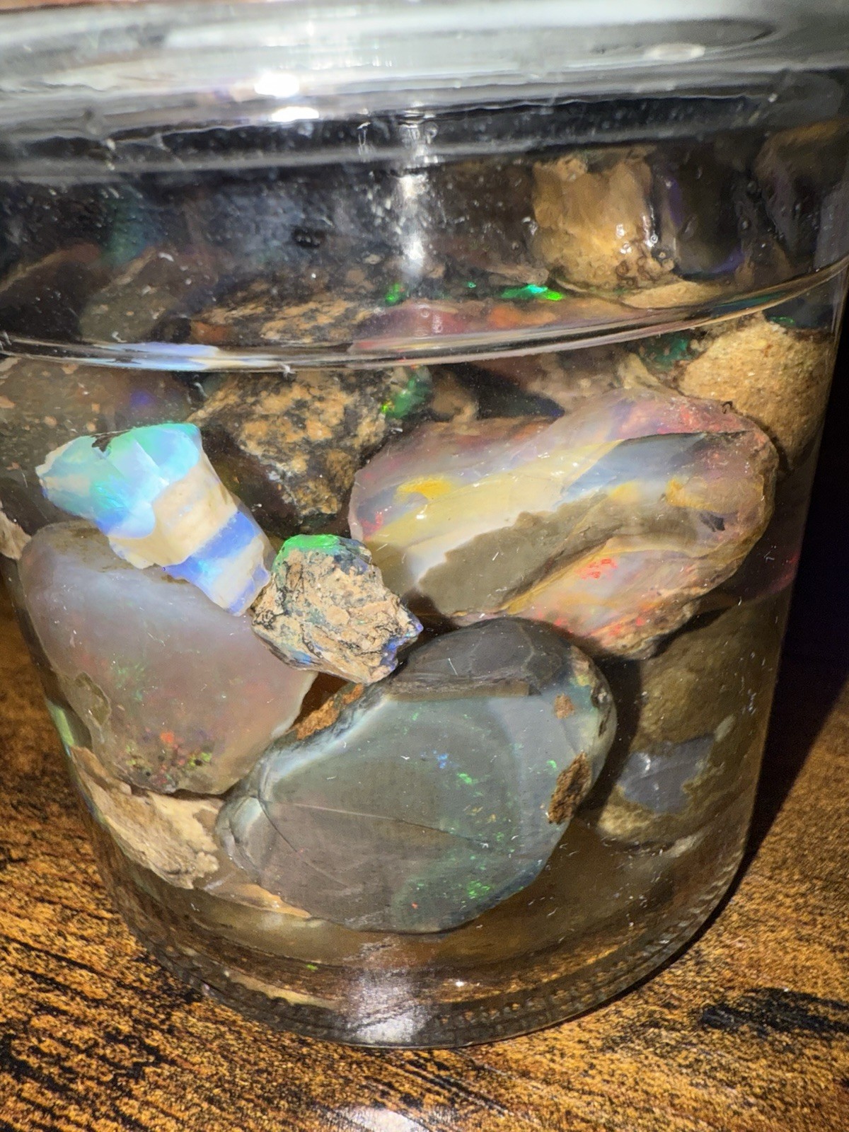 Specimen Rough Opal Stones in Jar – Ethiopian Rough, Multiple Mixed-Color Pieces